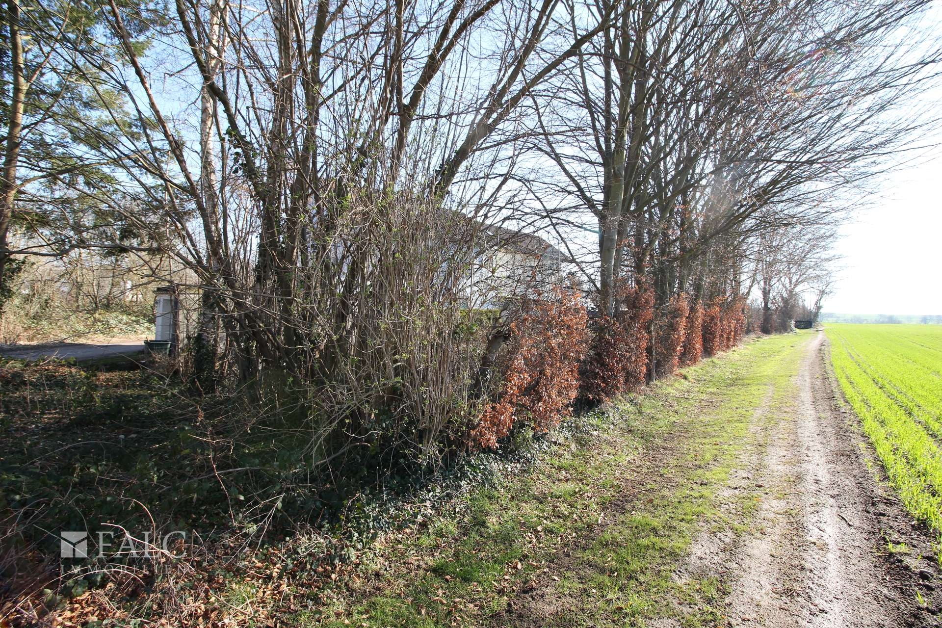 Feldweg