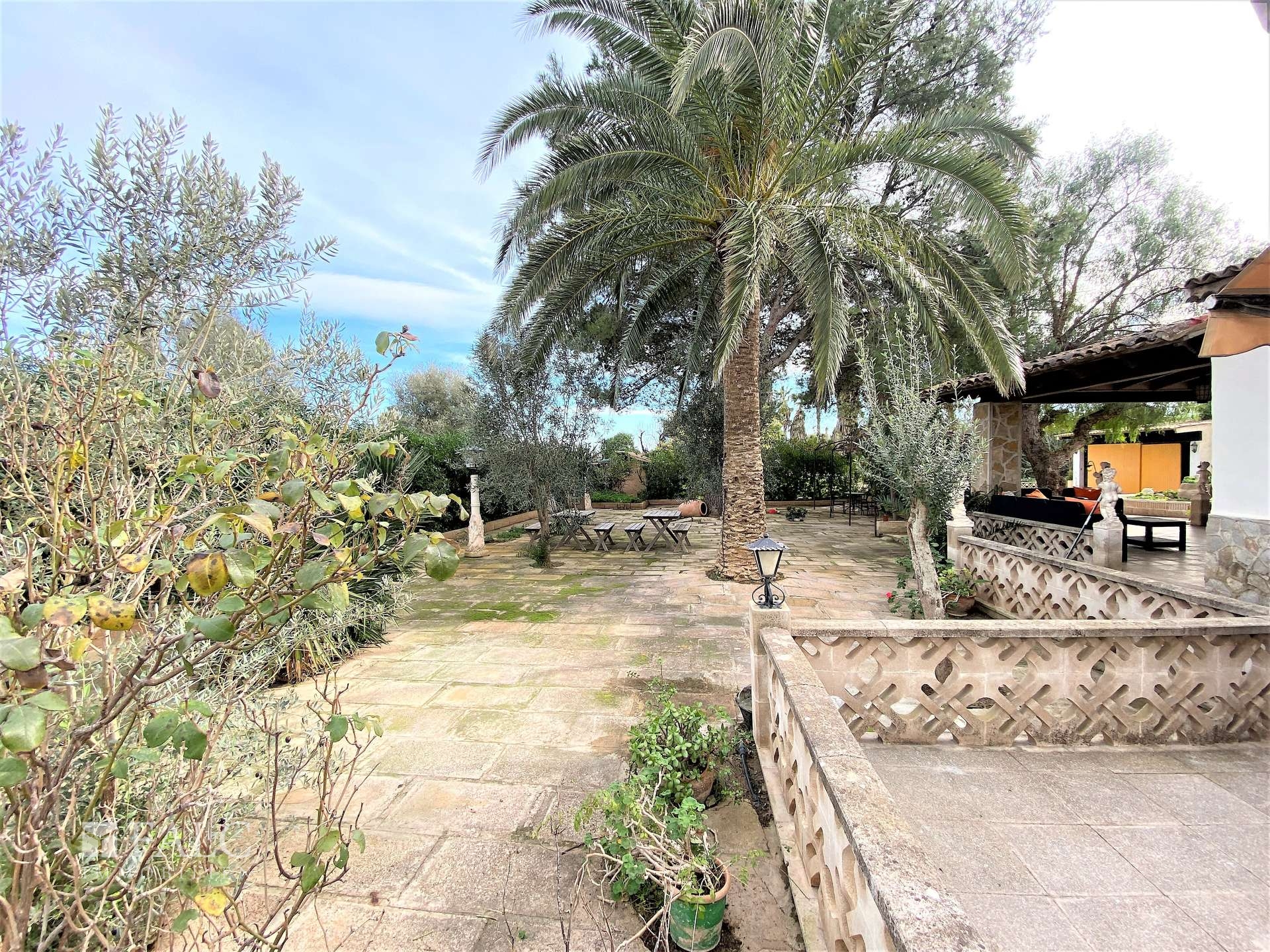 Seitlicher Hof - Patio lateral