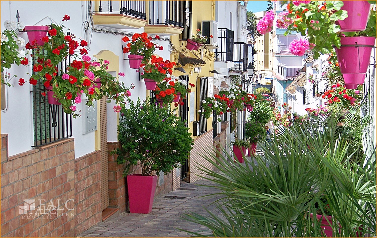 C4- Estepona - Calle Mondejar_2