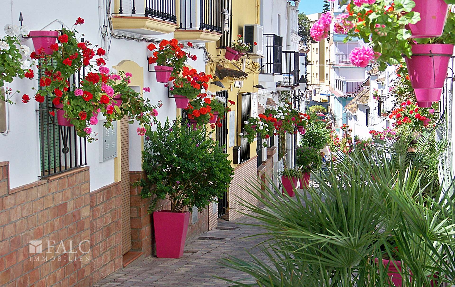 C4- Estepona - Calle Mondejar_2