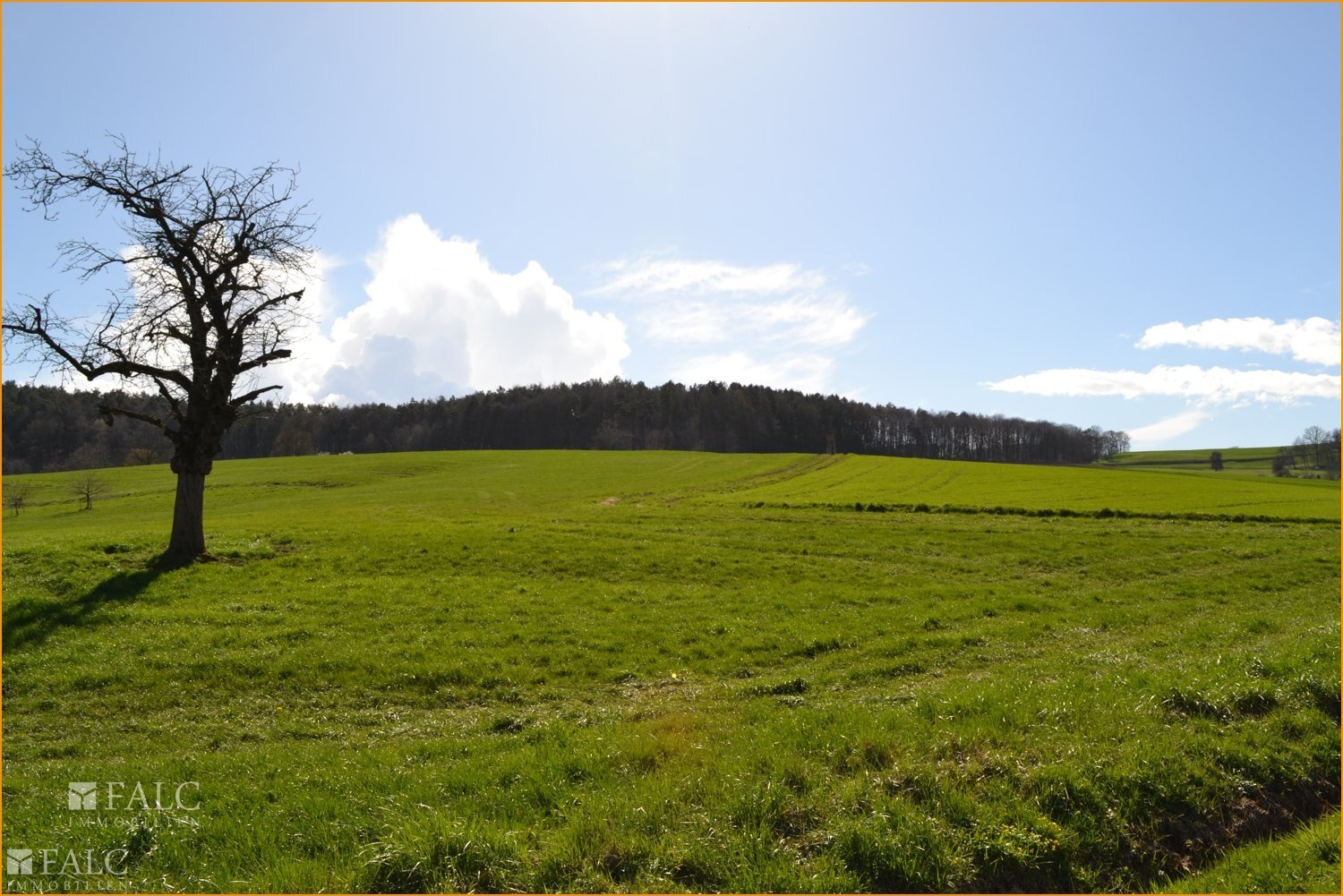 Landschaft,Umgebung