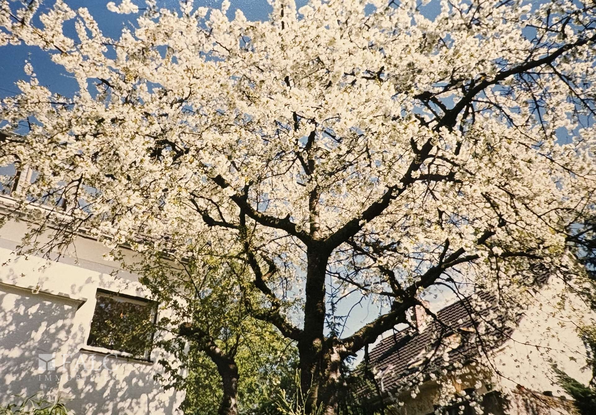 Garten-Impression