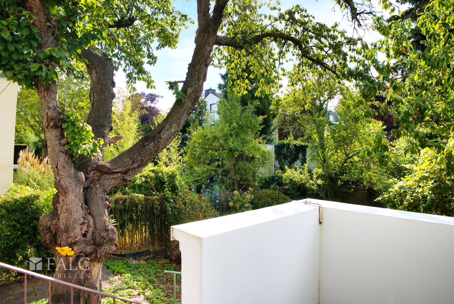Ausblick Terrasse