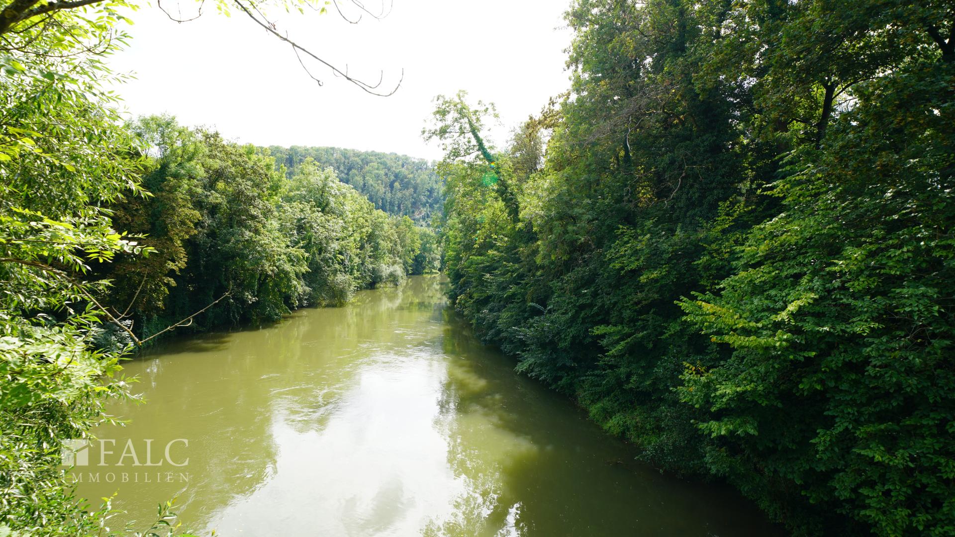 Grüne Oase