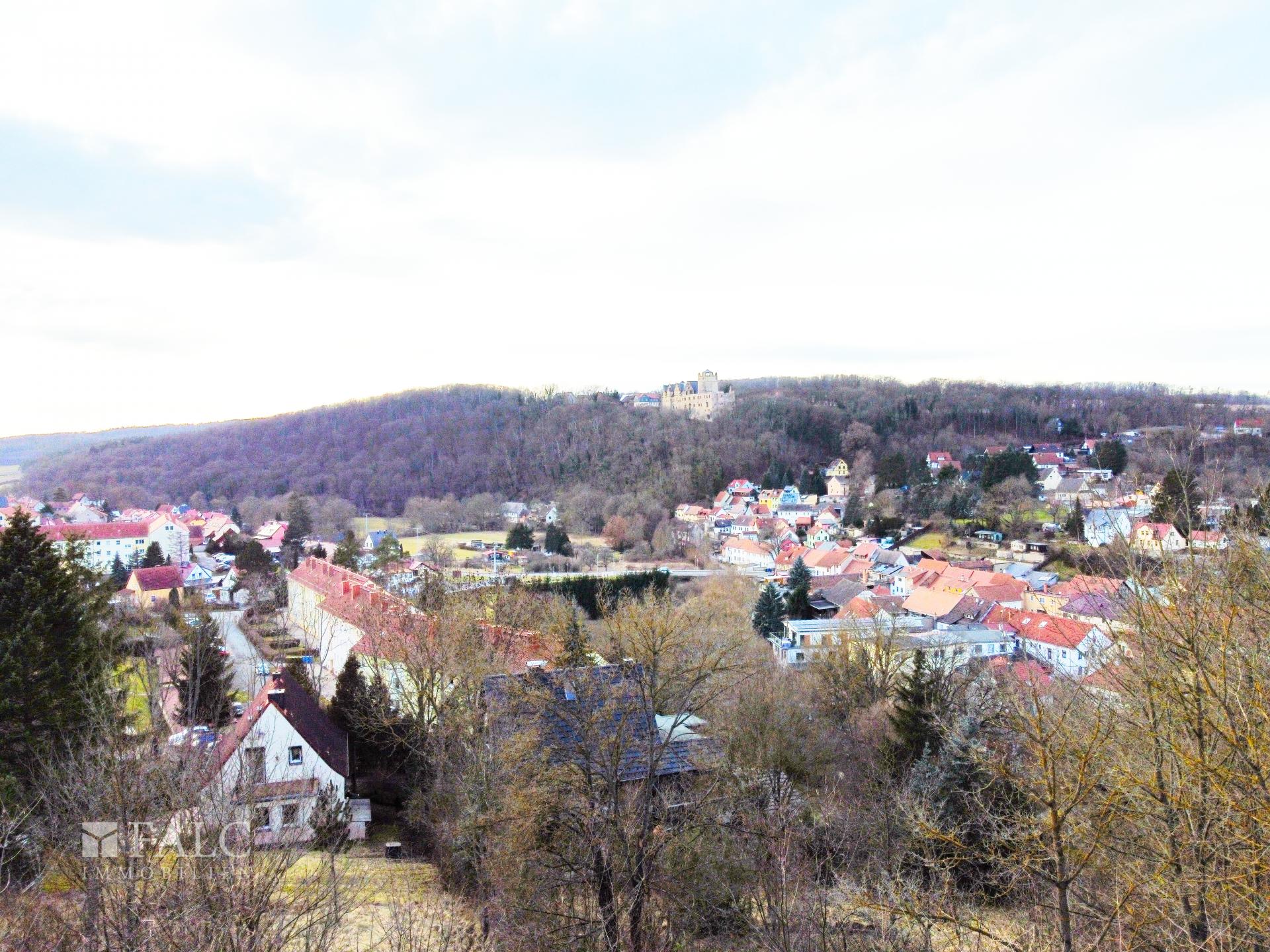Fernblick
