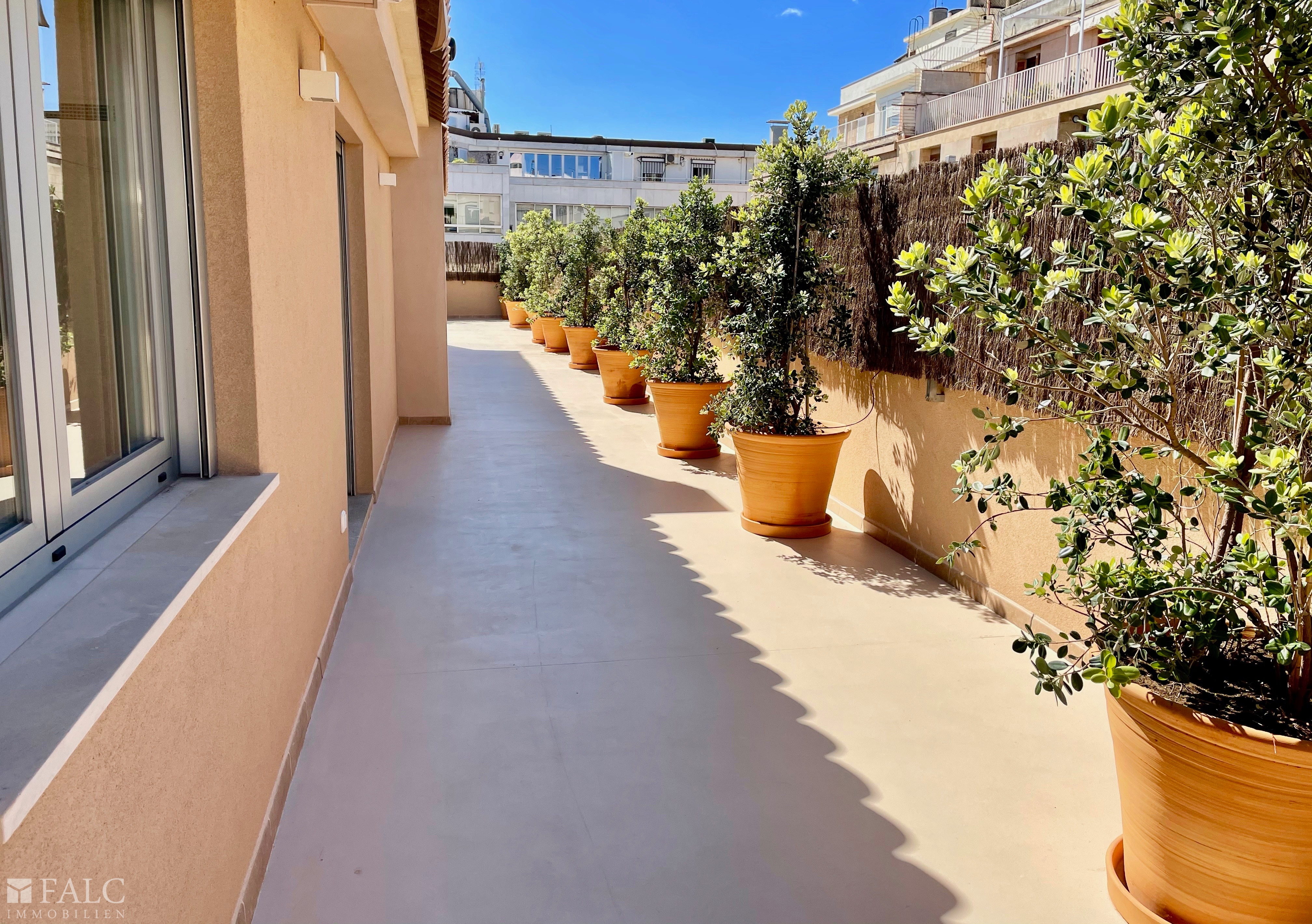 Dachterrasse/ roof terrace/ azotea