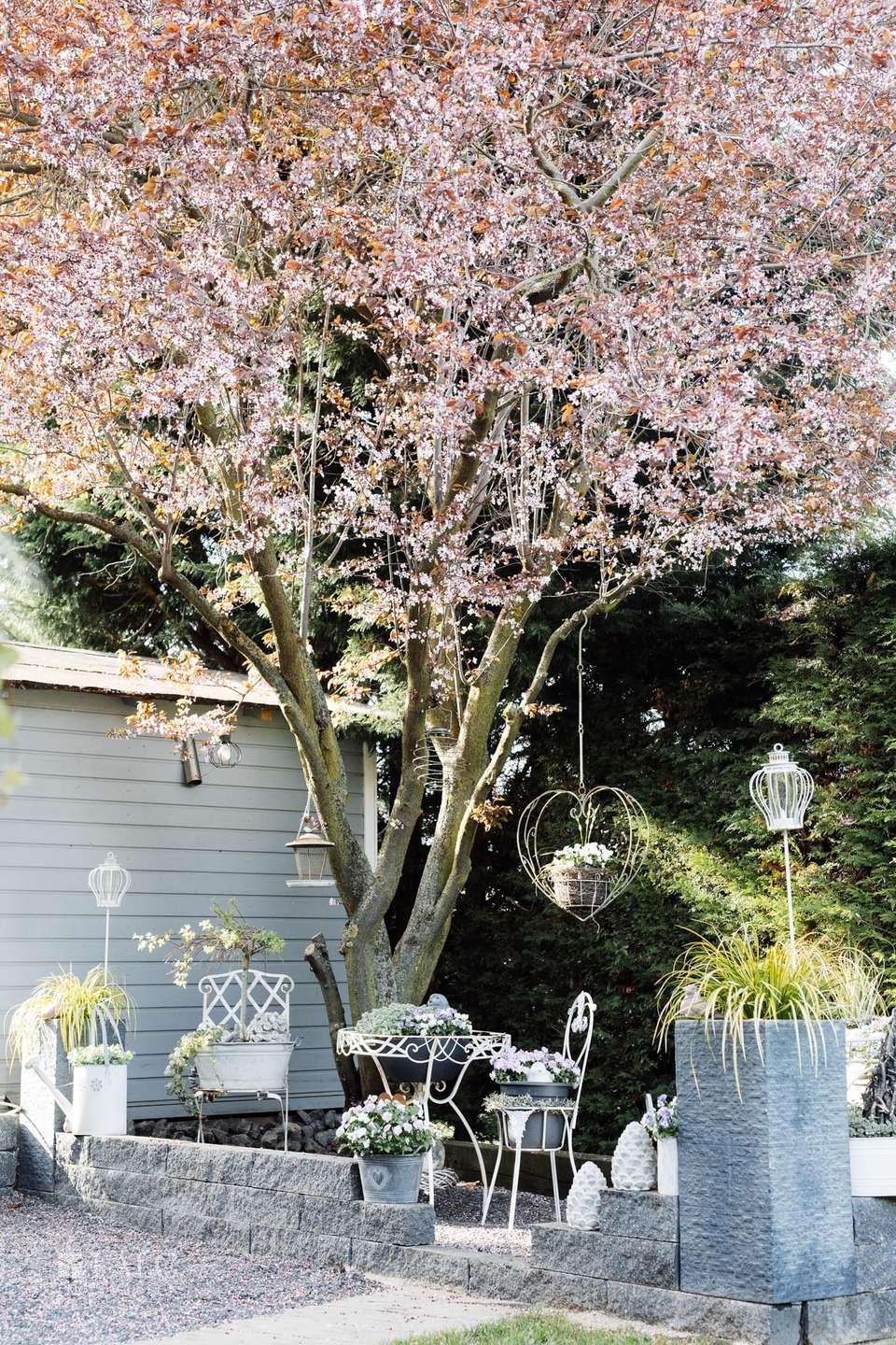 Gartenimpression 