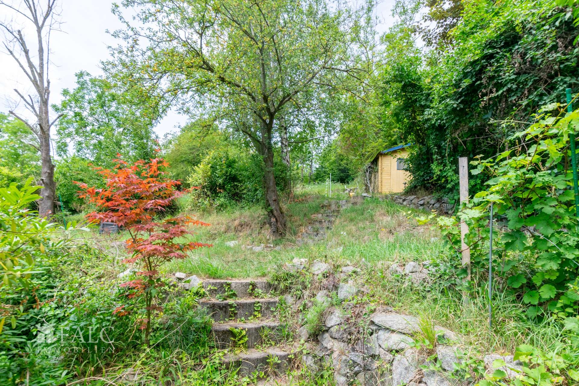 Blick in den Garten