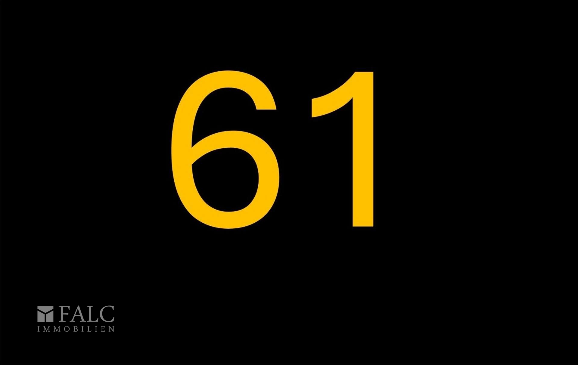 61