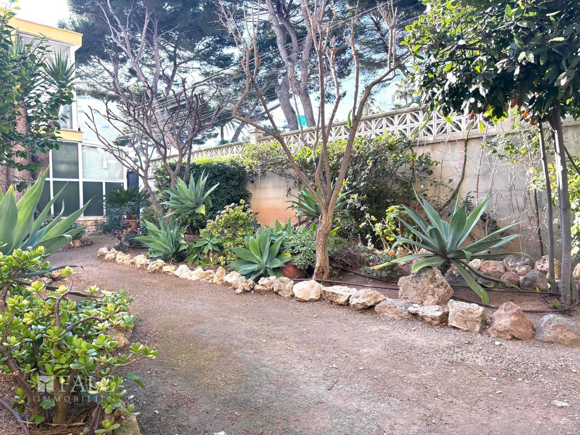 Comunity garden