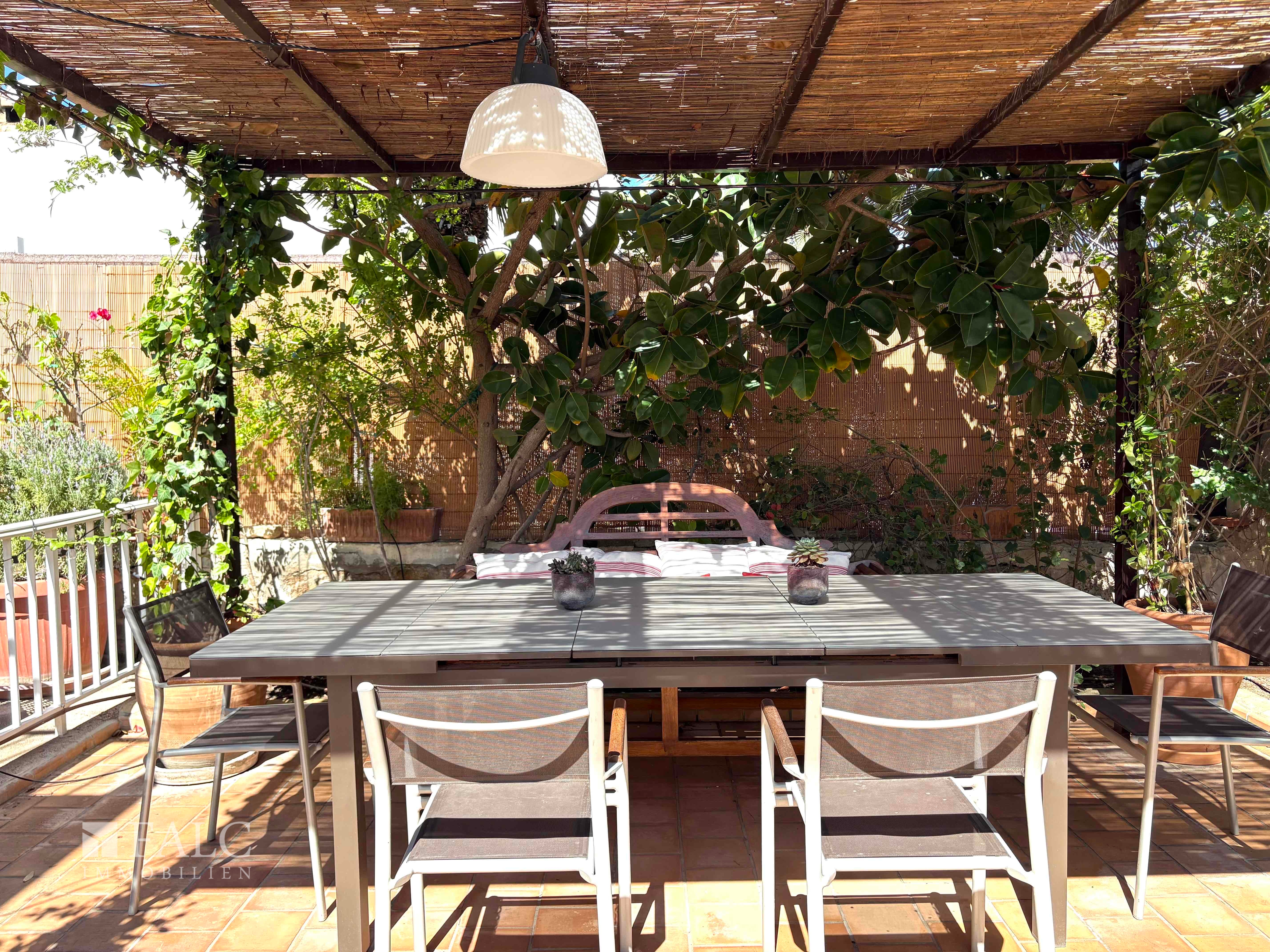 Terrase