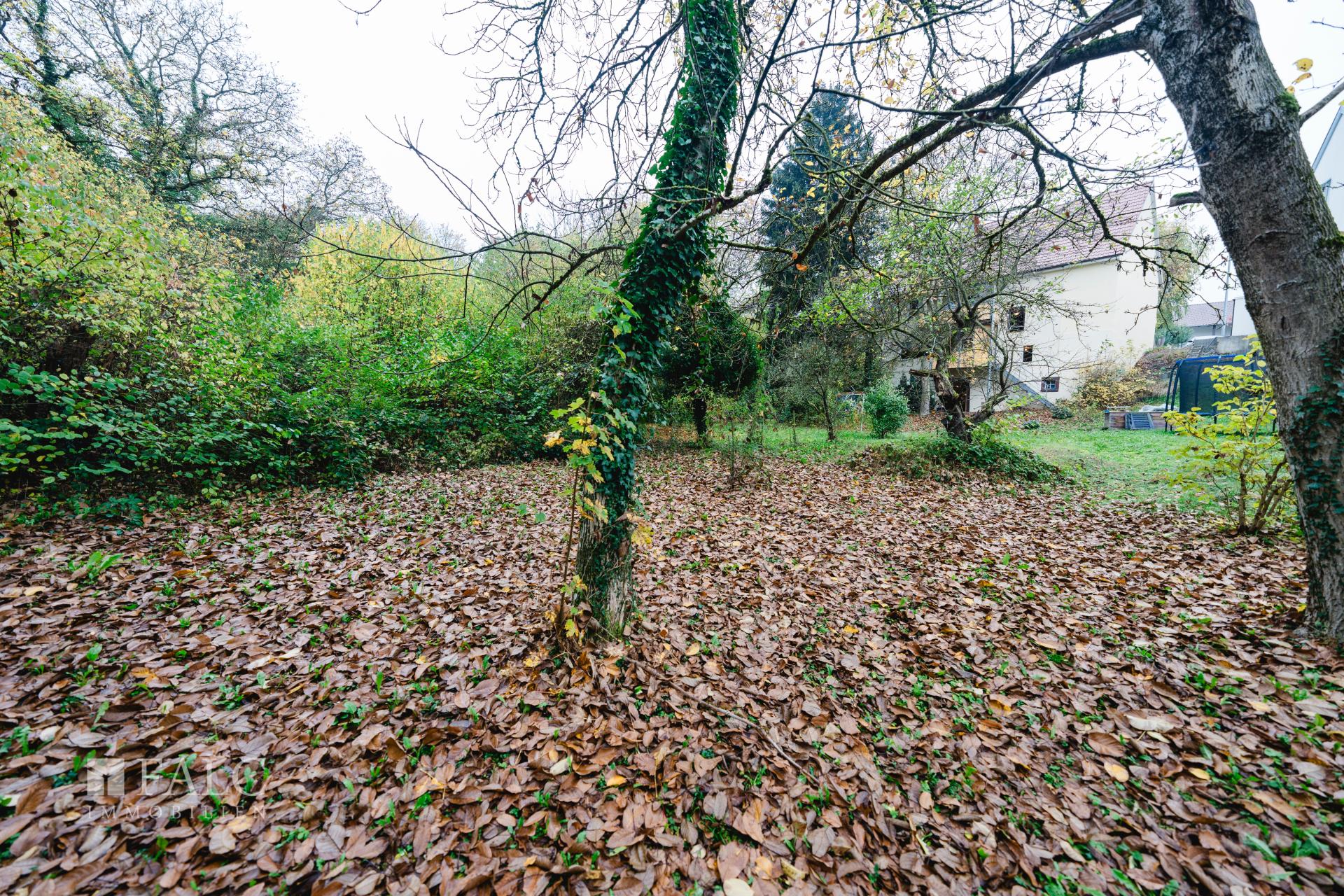 Garten von hinterstem Punkt