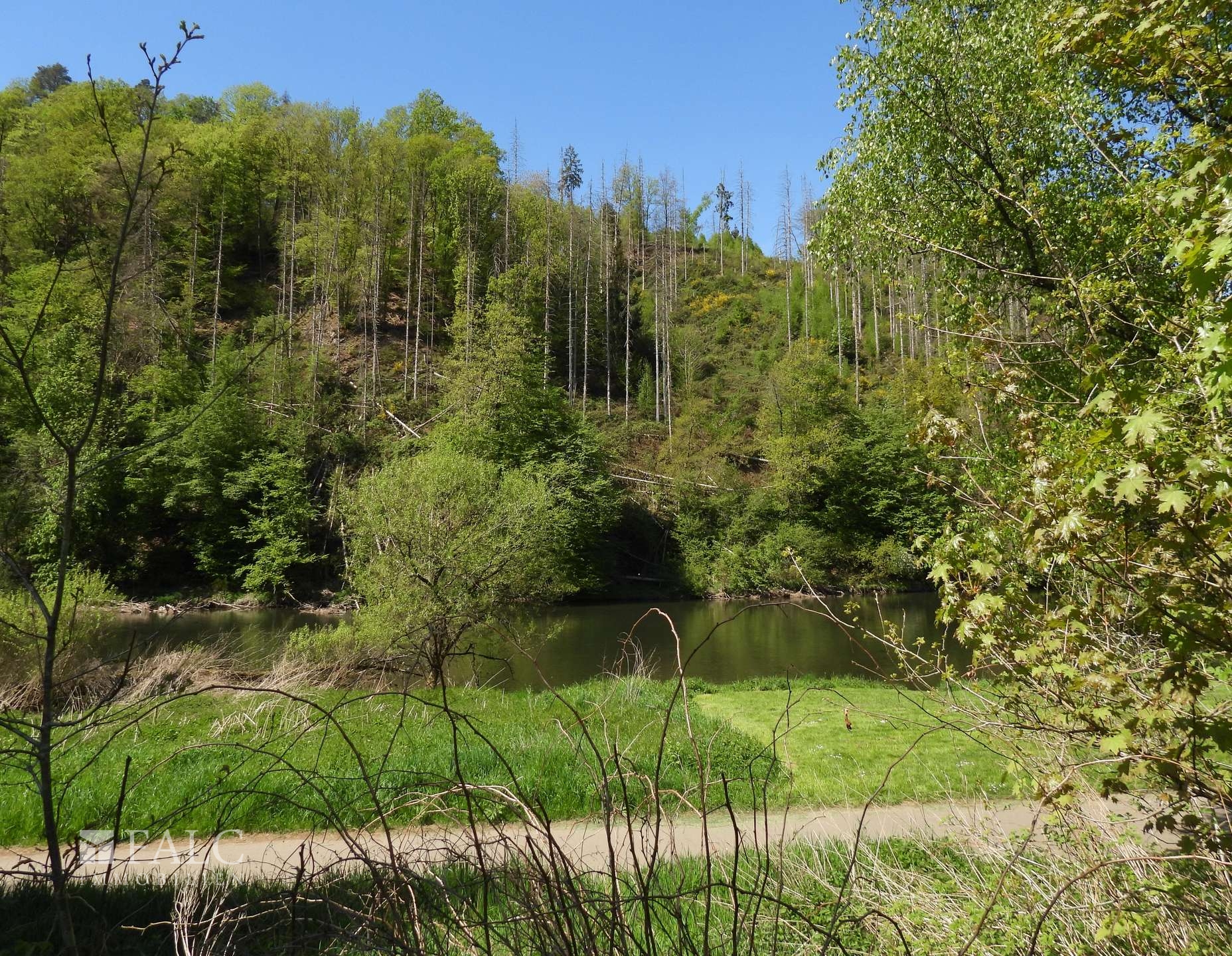 Ausblick Sieg