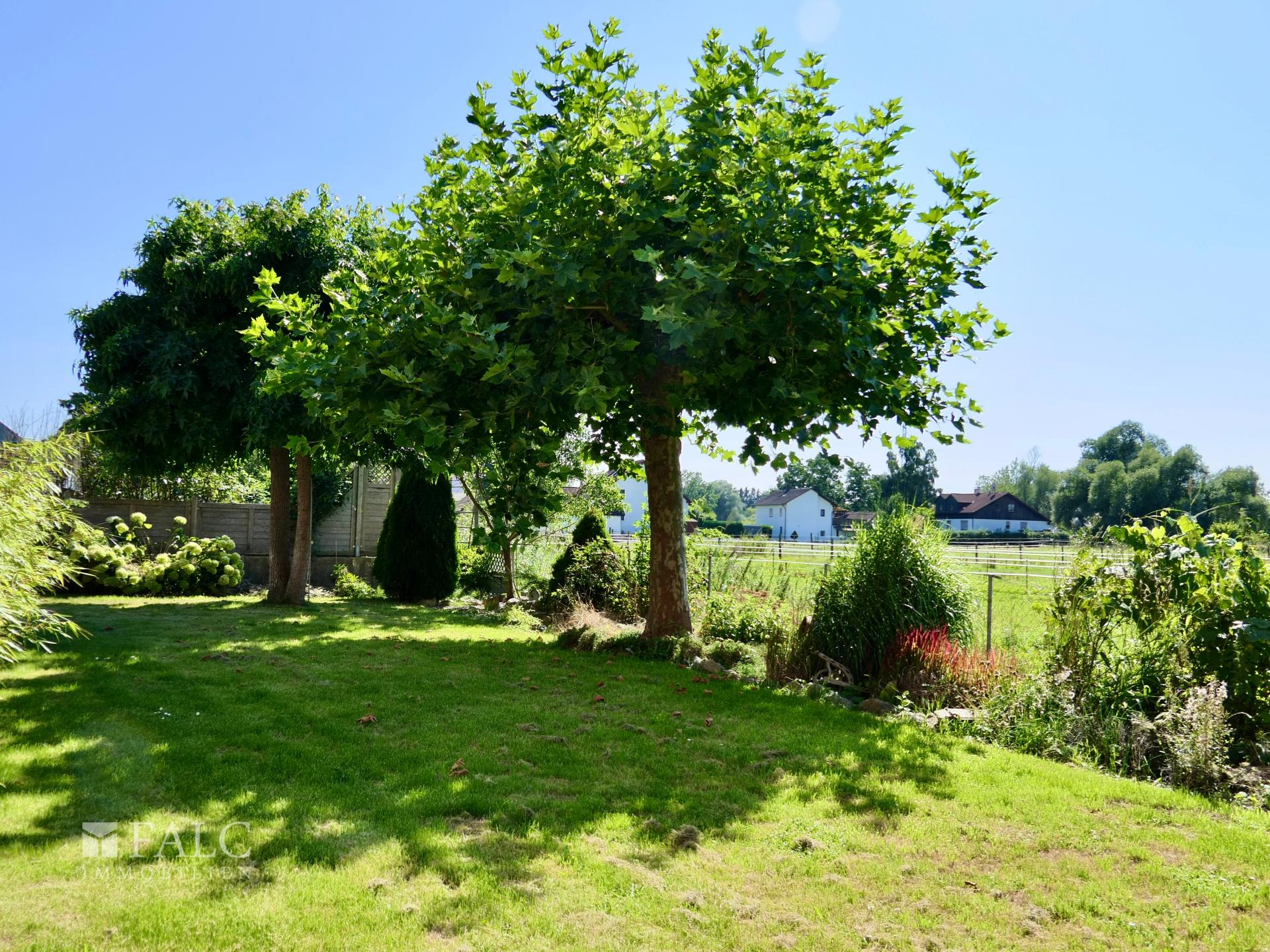 Fernblick, Pferde-Nachbarn