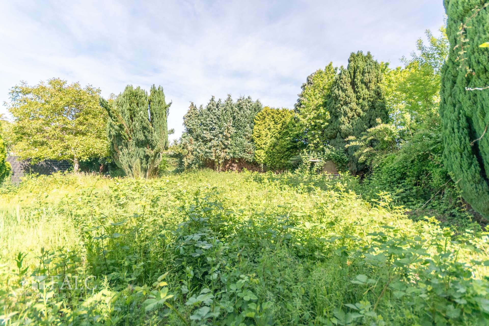 Gartenblick