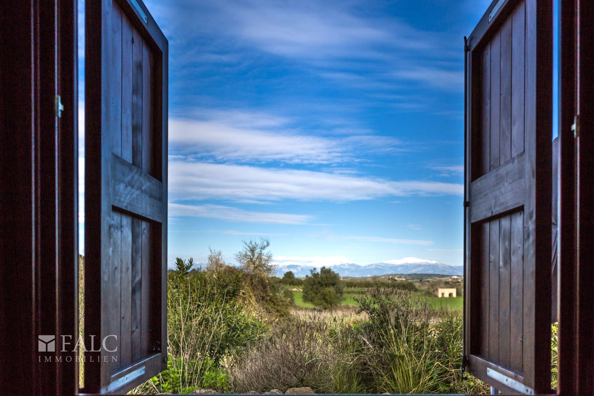 Ausblick