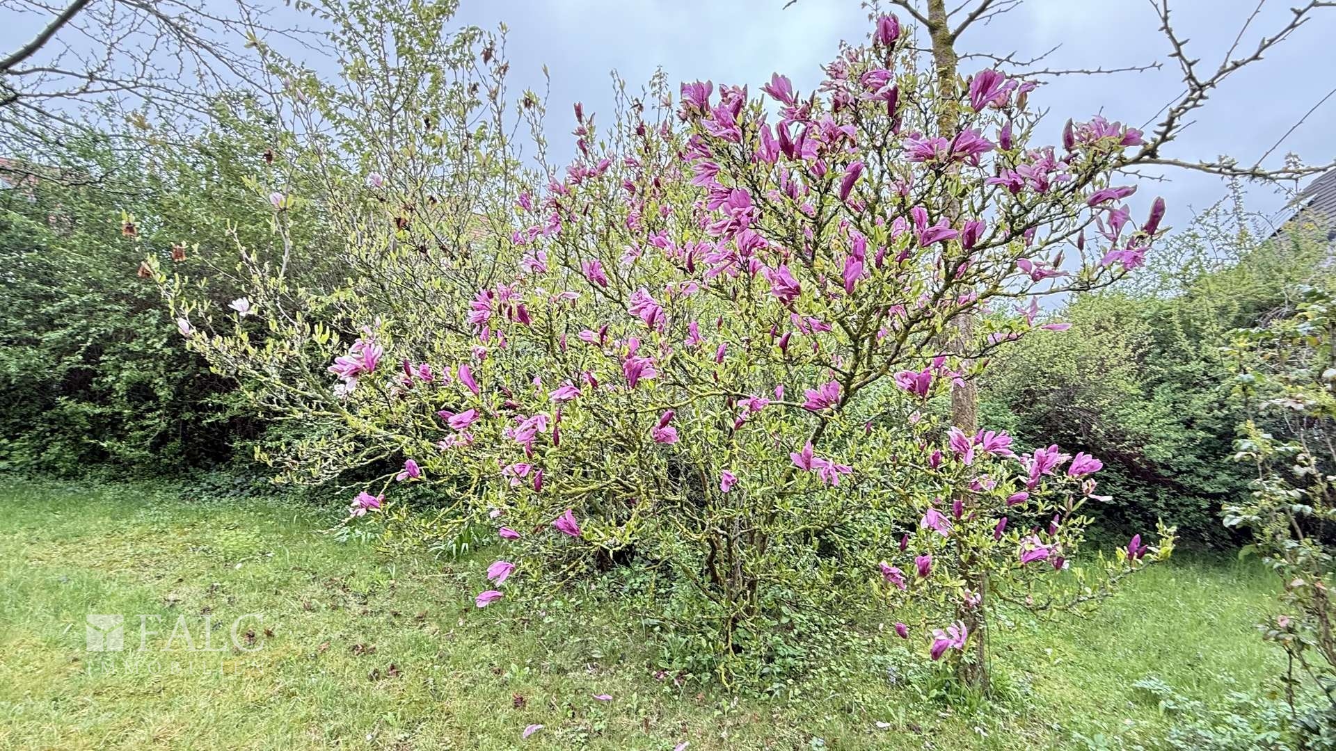 Gartenimpression 