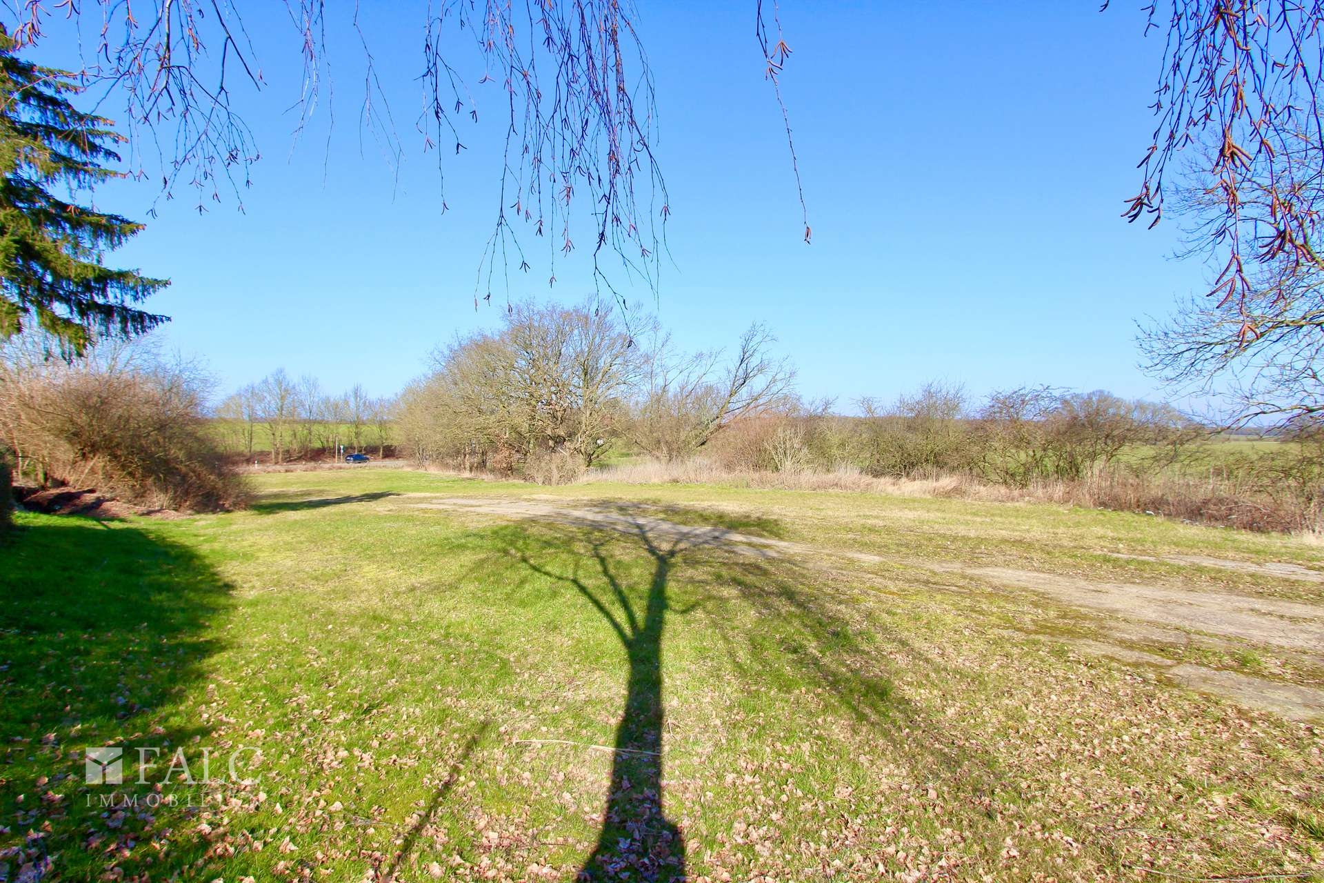 Hinterland