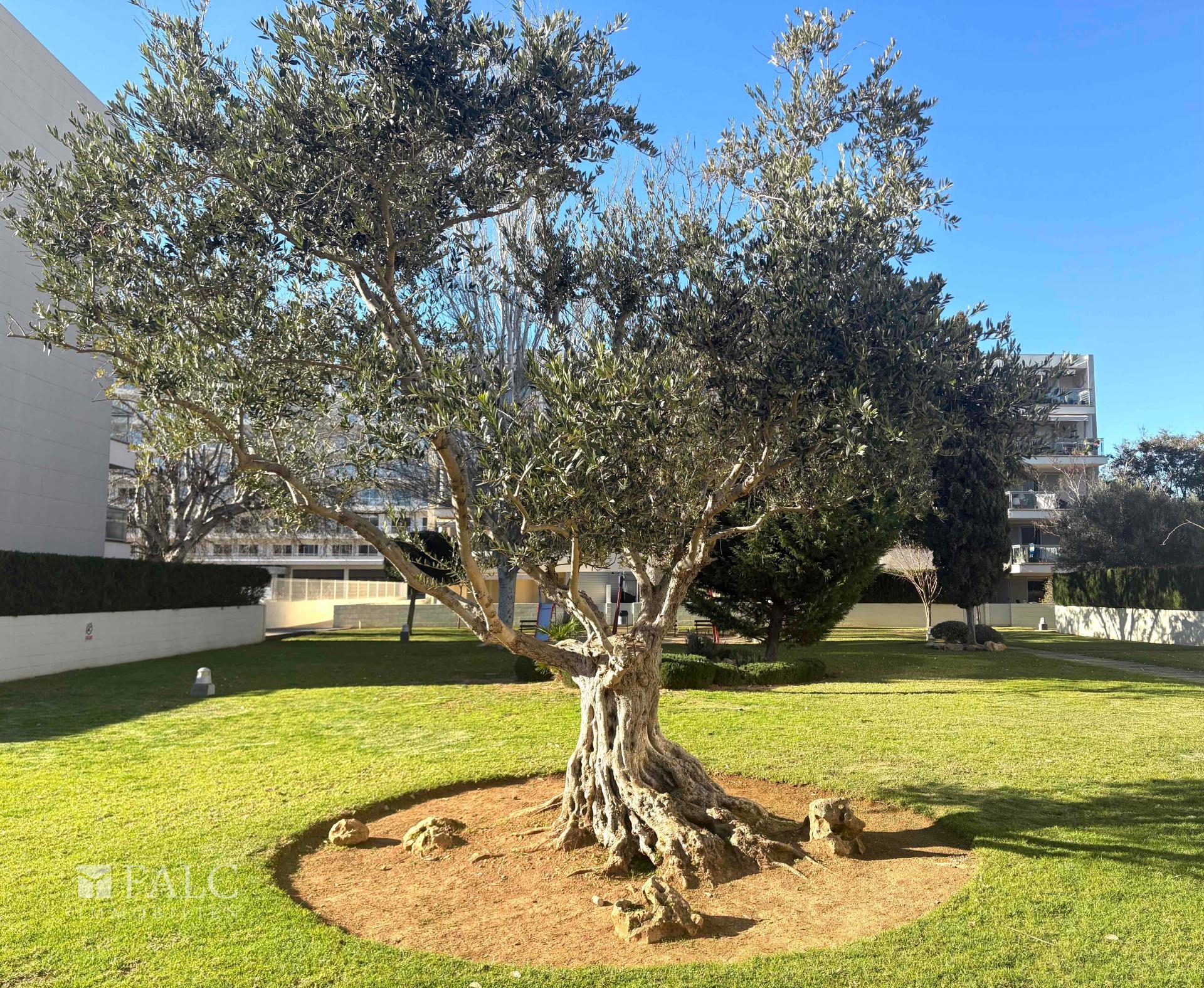 Gemeinschaftsgarten