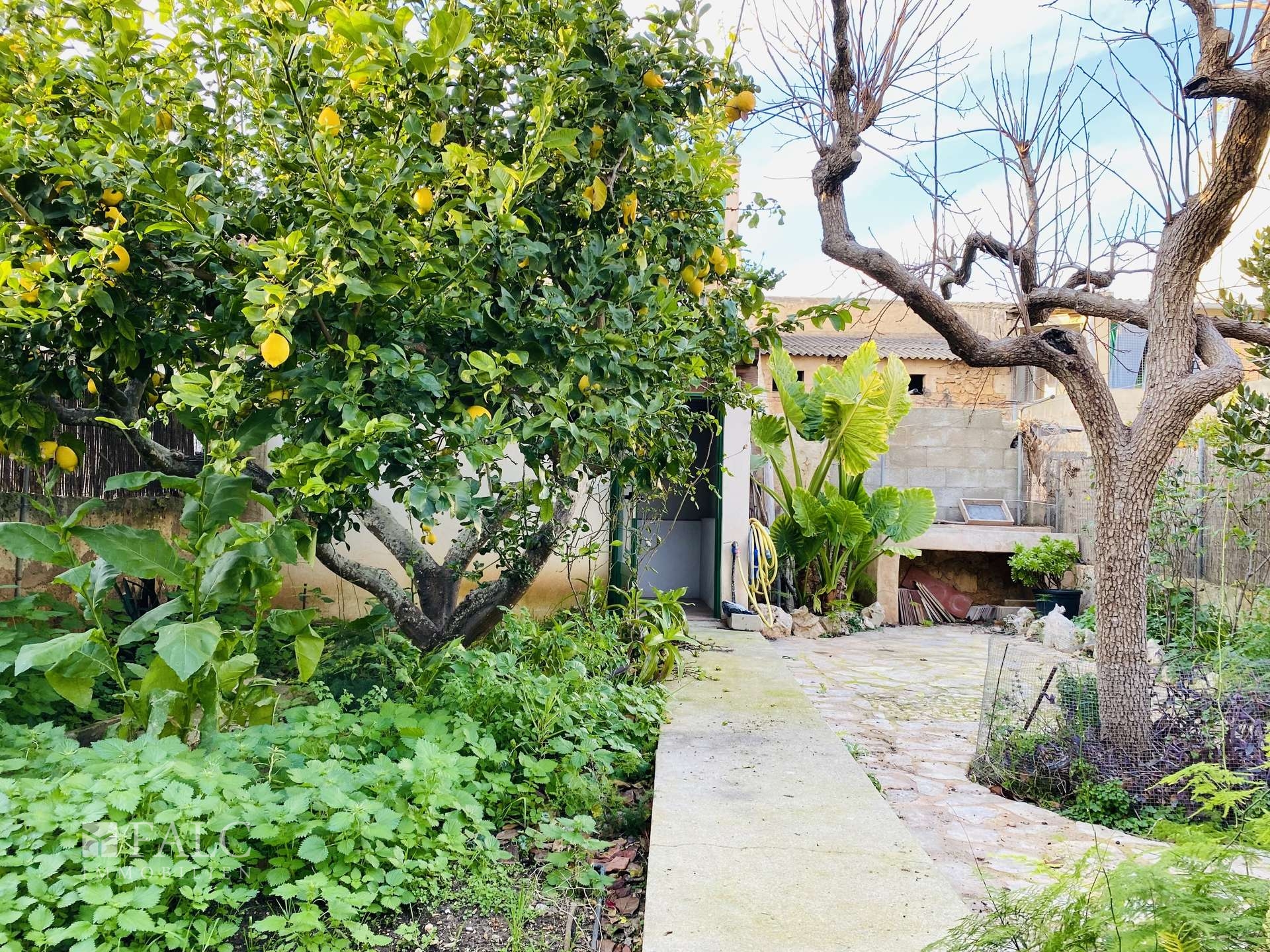 Garten