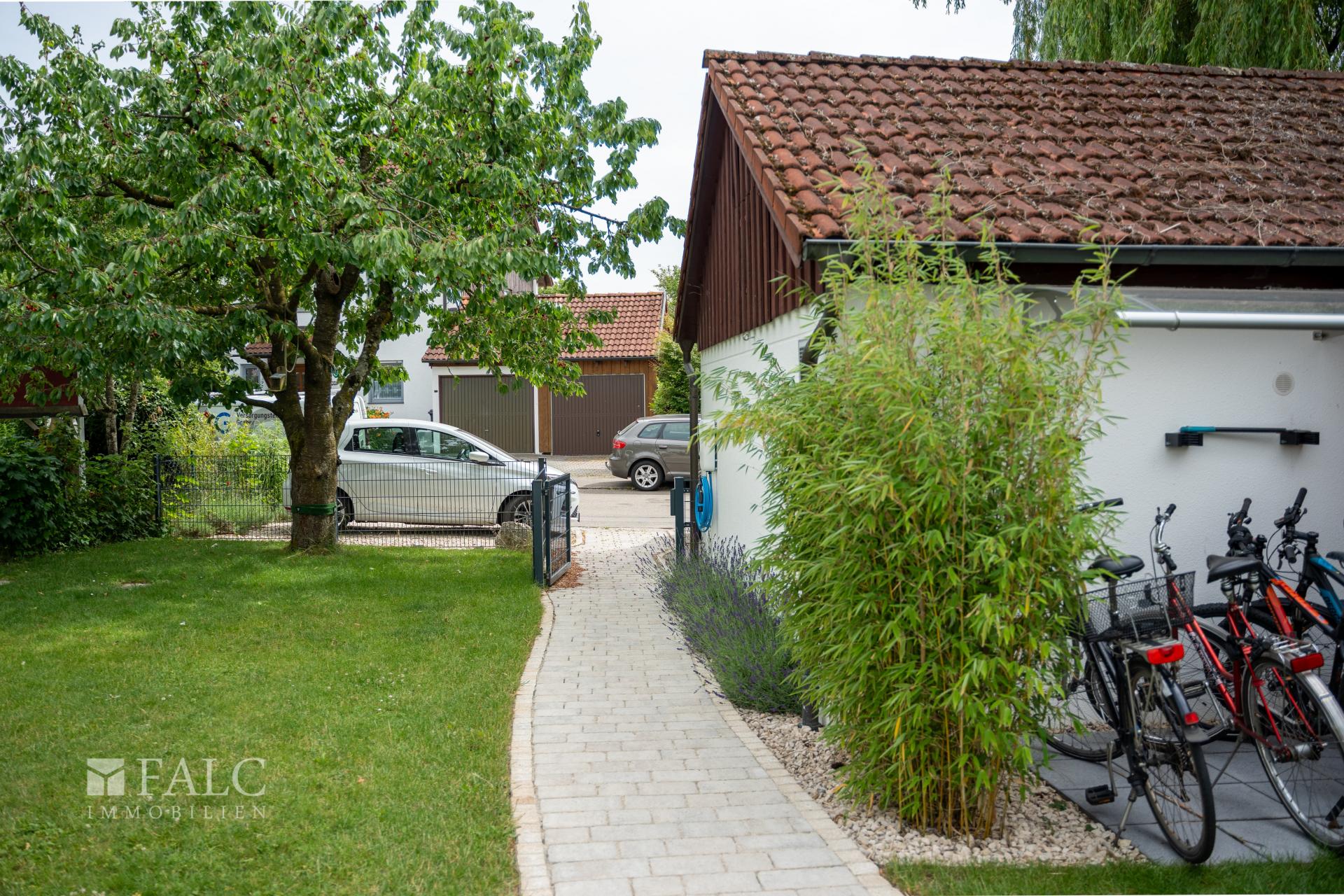 Kirschbaum Südgarten