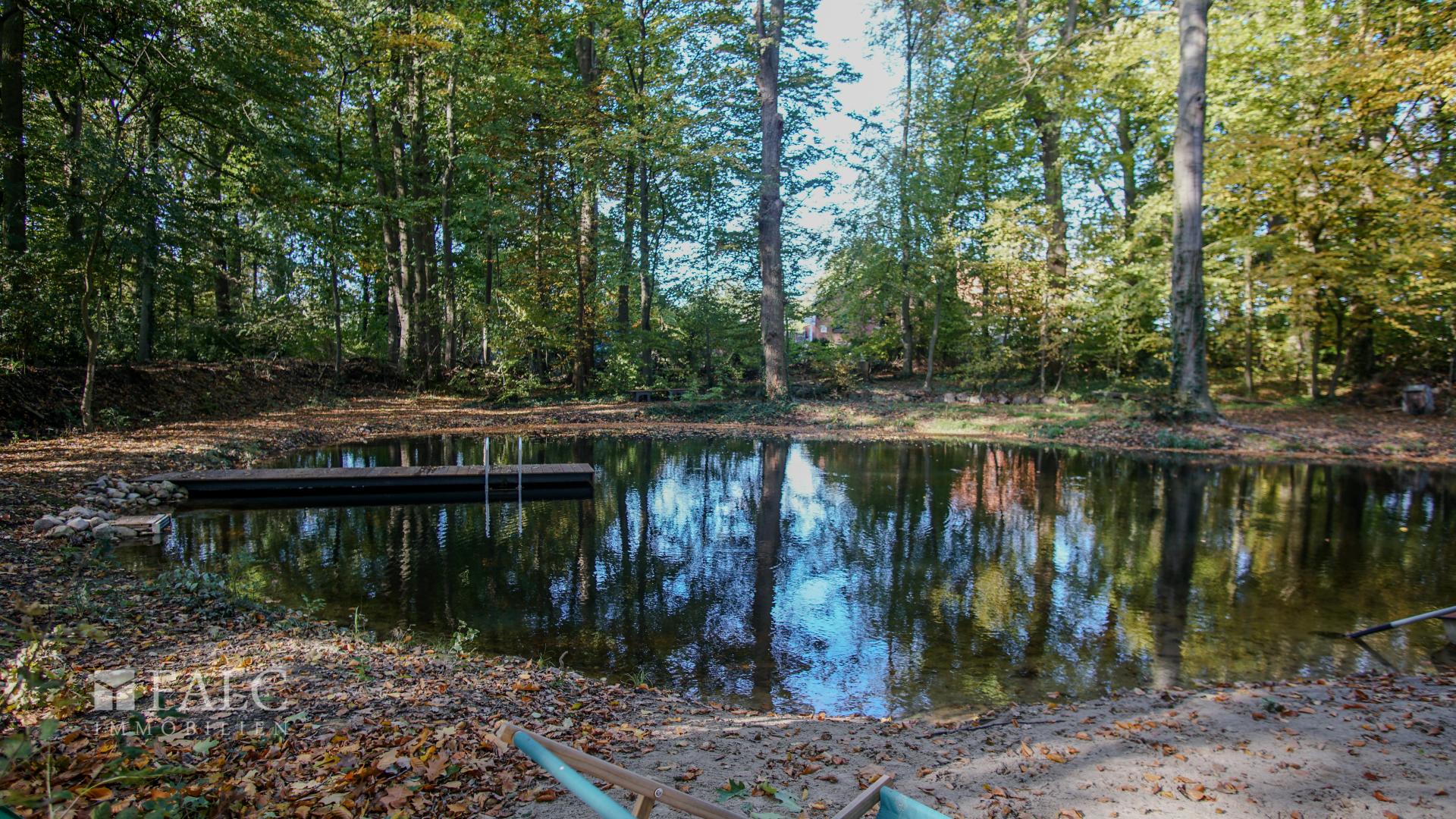 Teich Steg