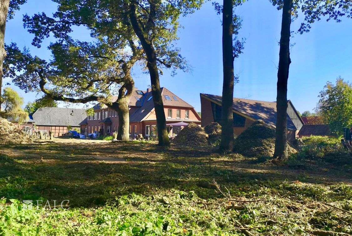 Garten mit Baumbestand