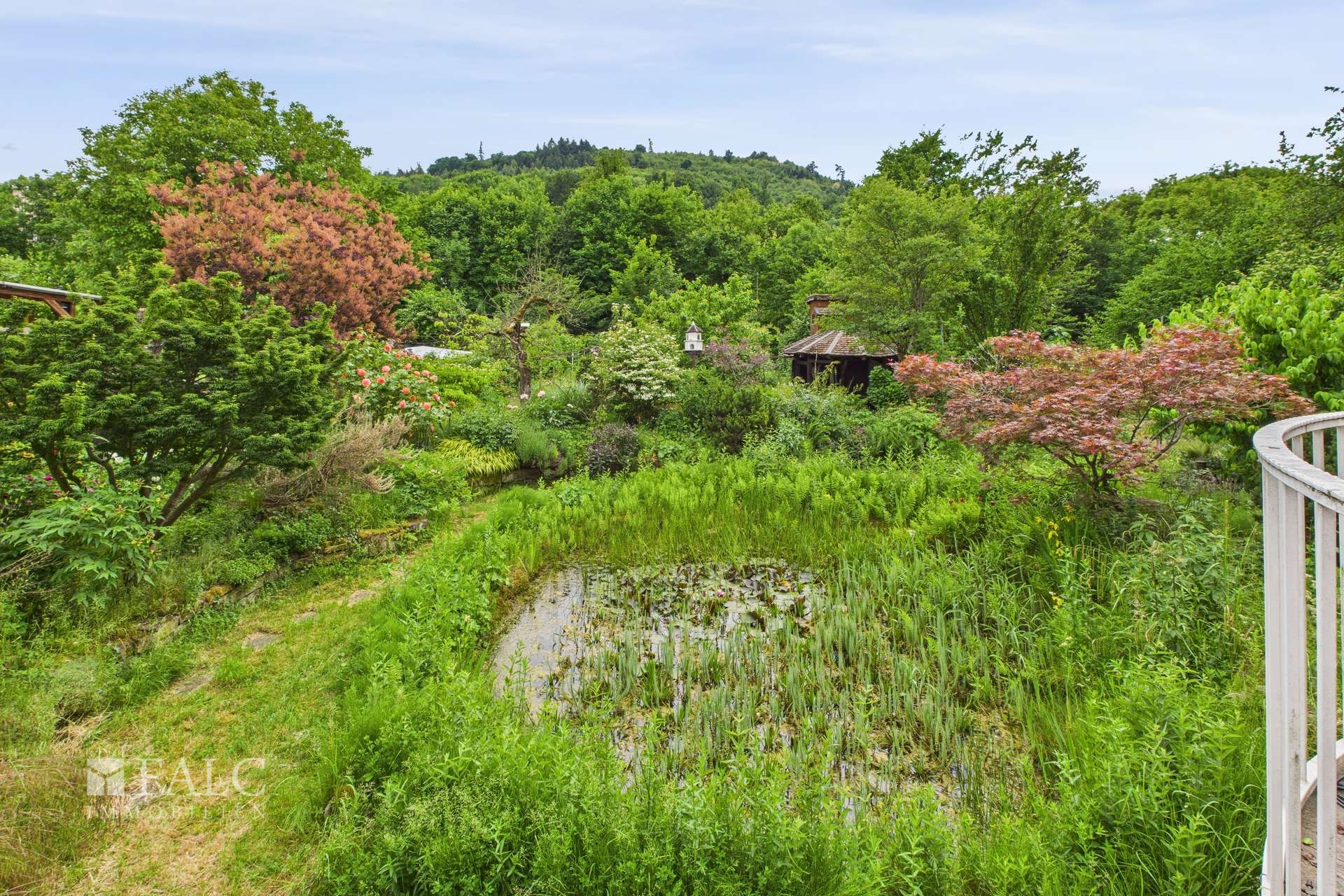 Teich mit Gartenhaus 