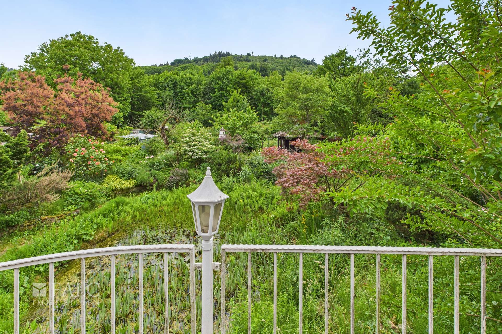 Blick von der Terrasse 