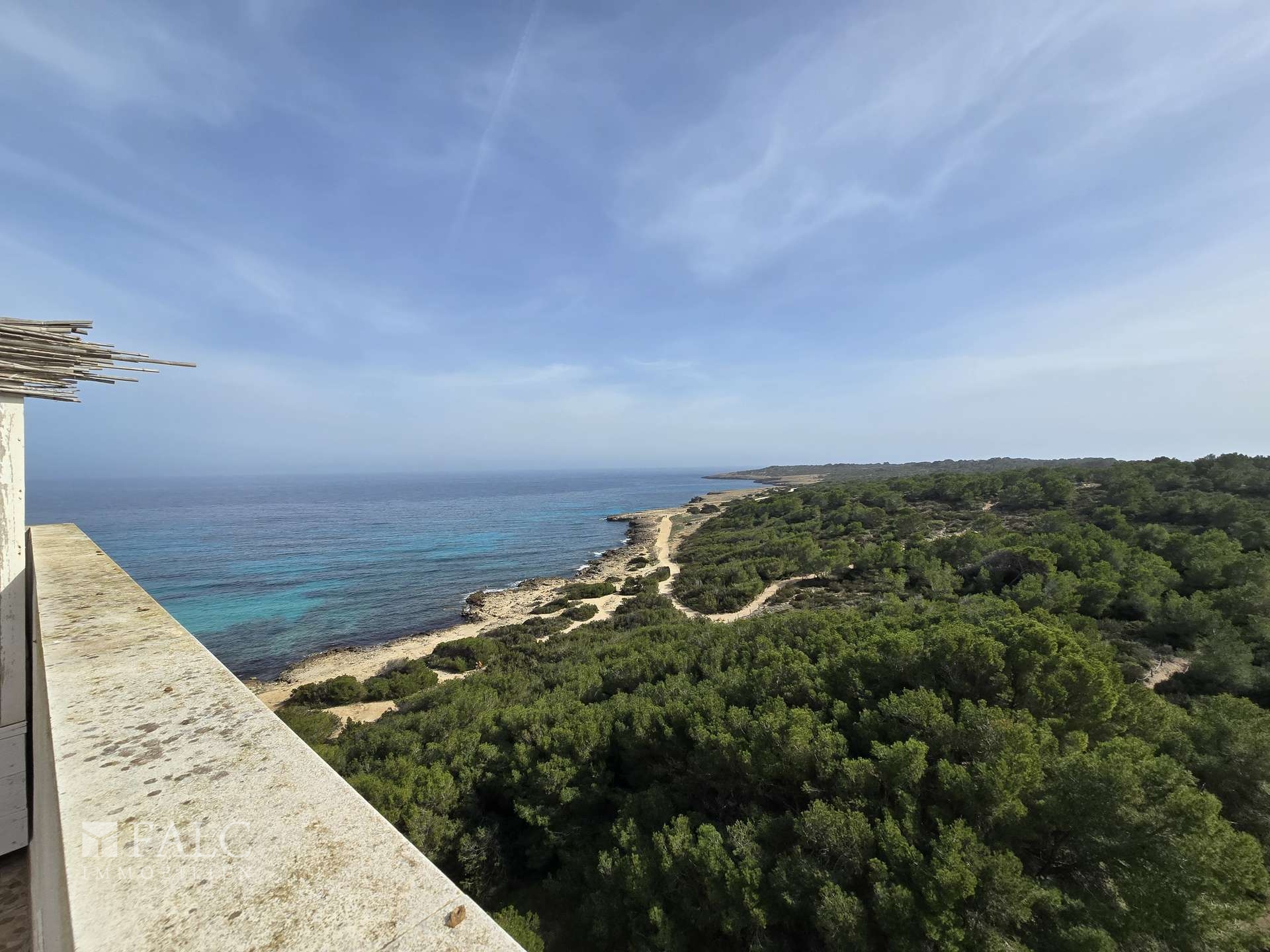 Ausblick