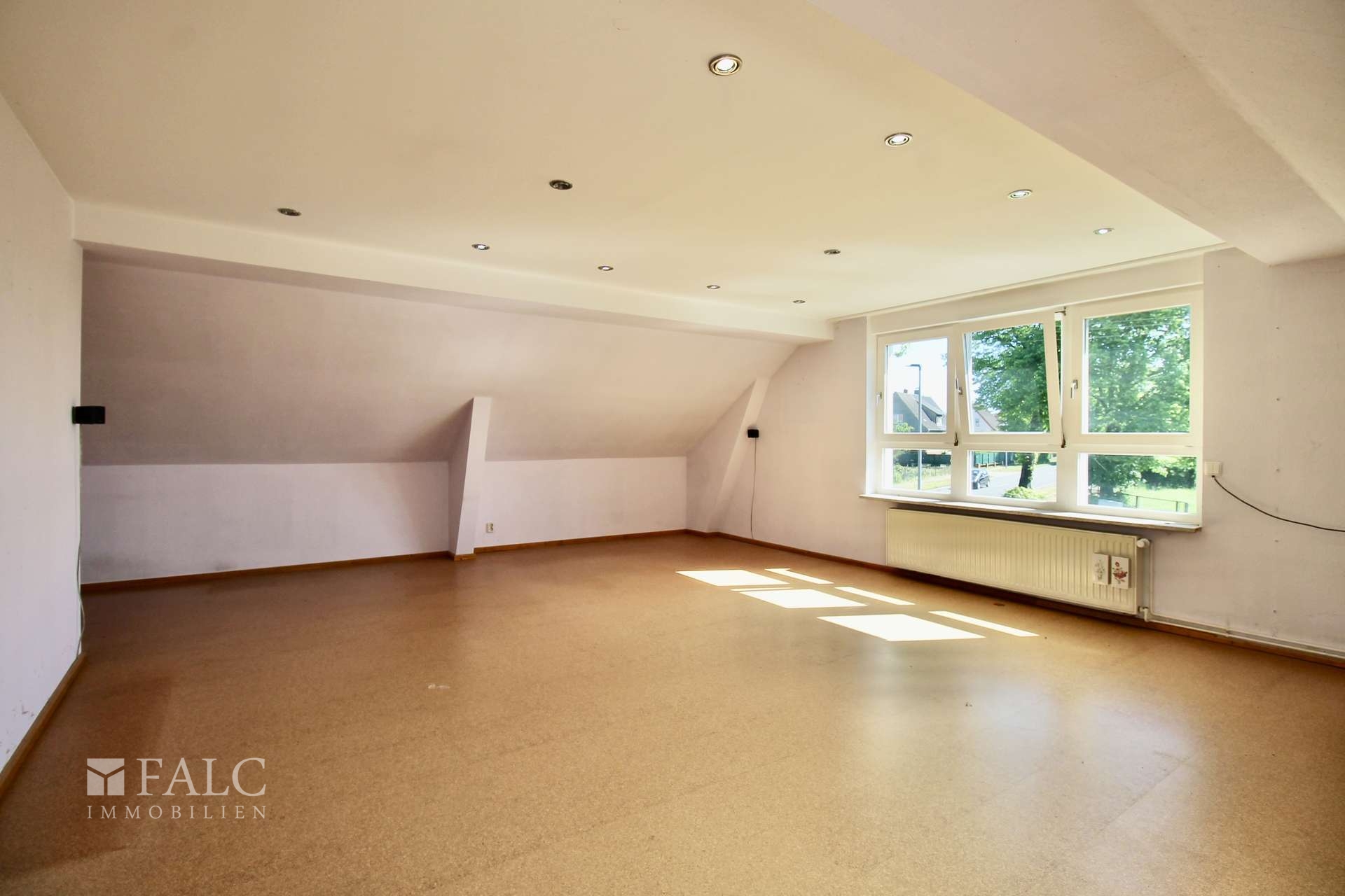 Zimmer DG