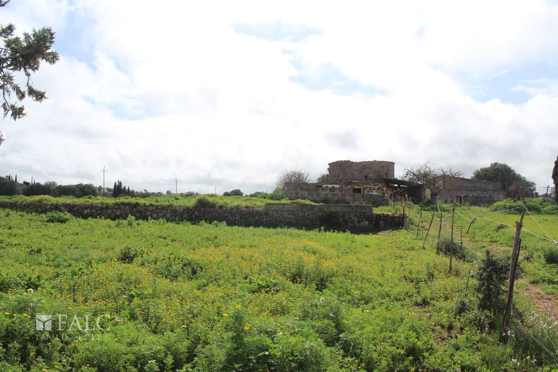 Land