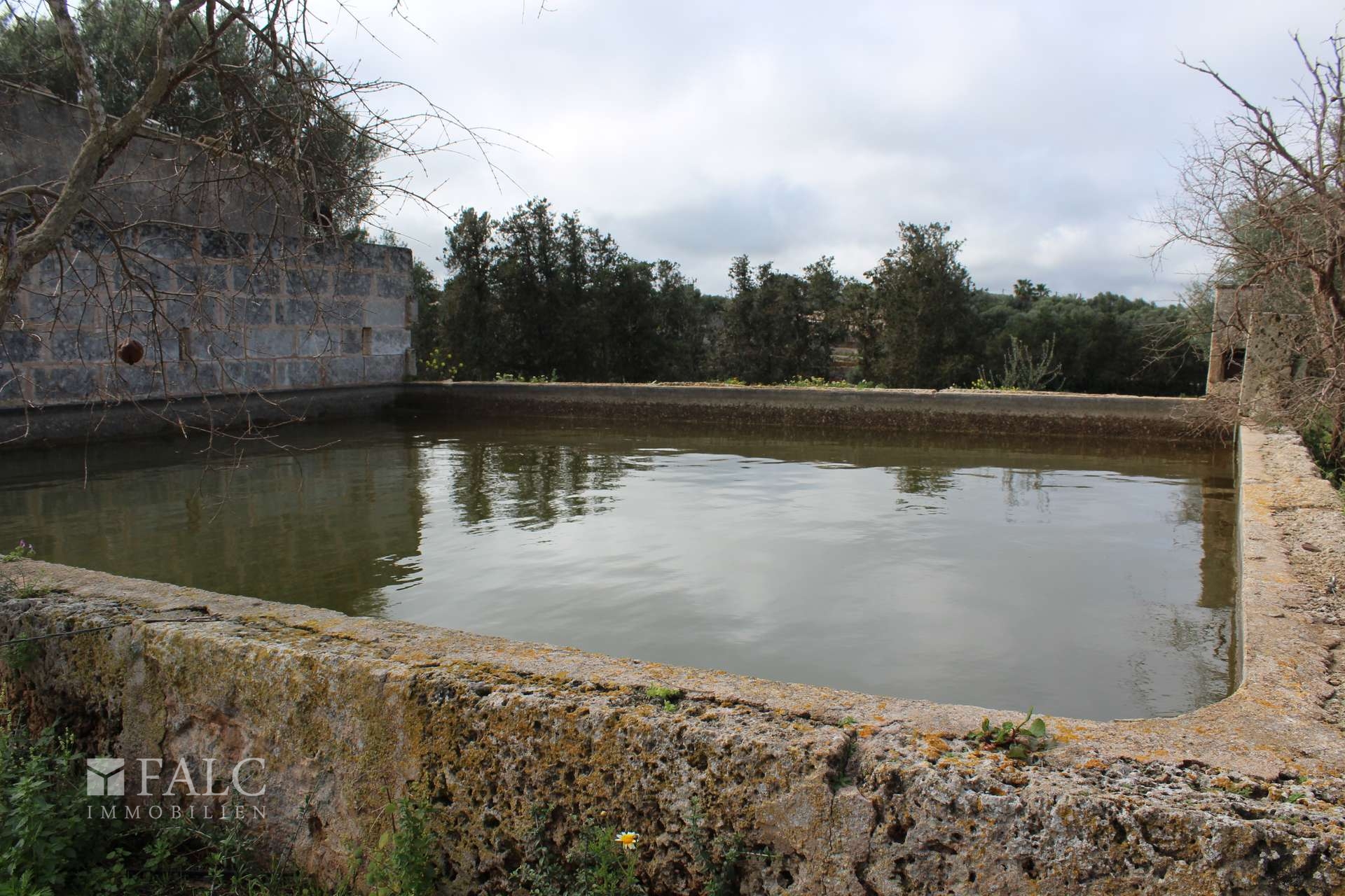 Wasserbecken