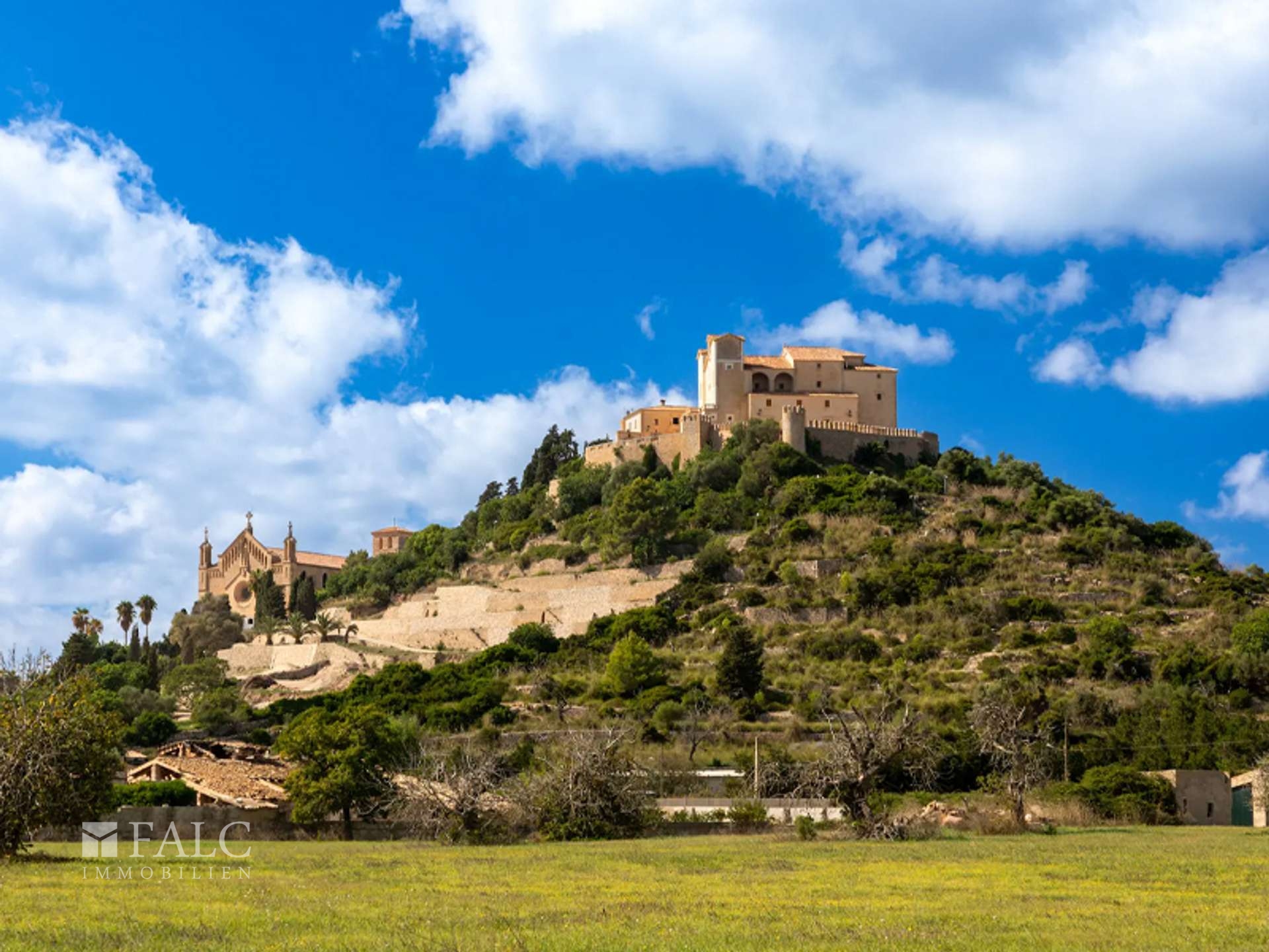 Burg