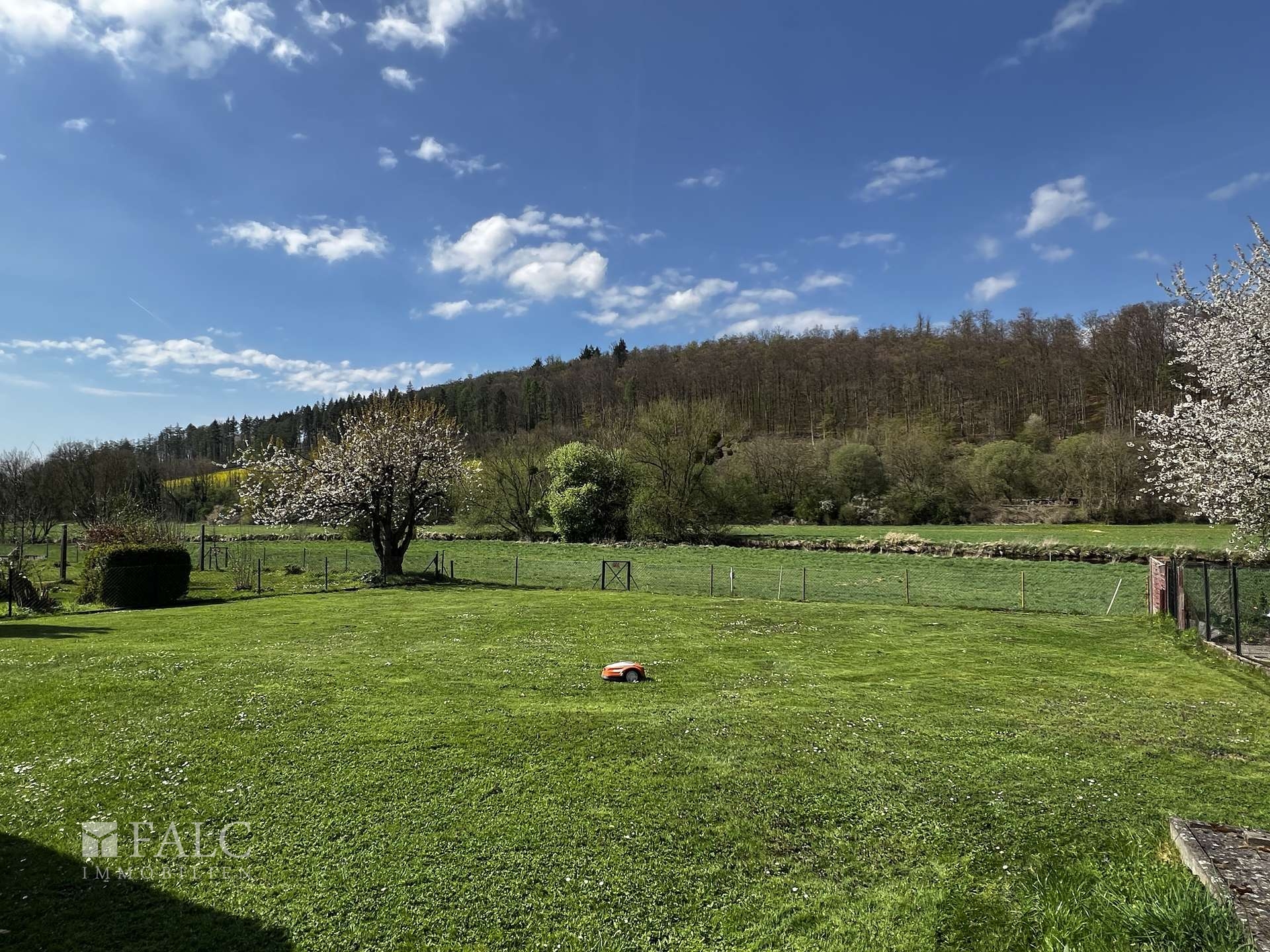 Blick vom Garten in Richtung der Emmeraue