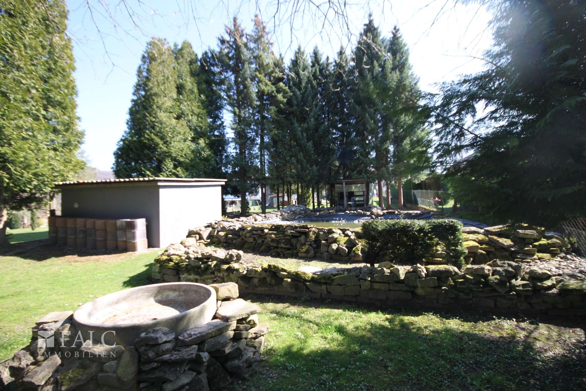 Garten hinterer Bereich