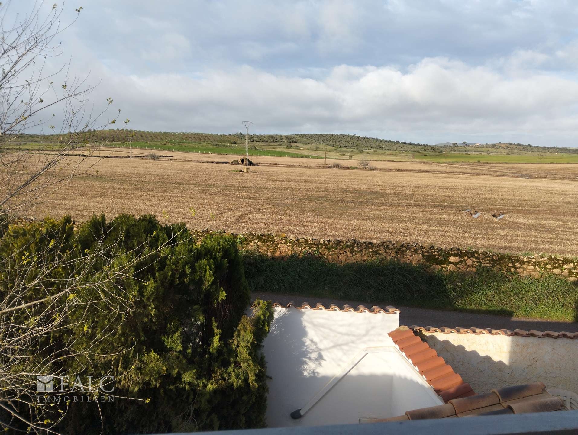 Aussicht Garten