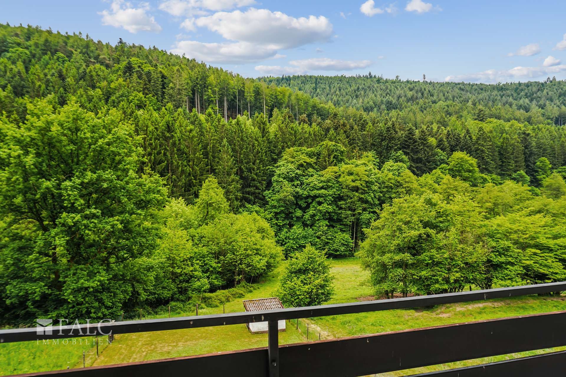 Ausblick ins Grüne