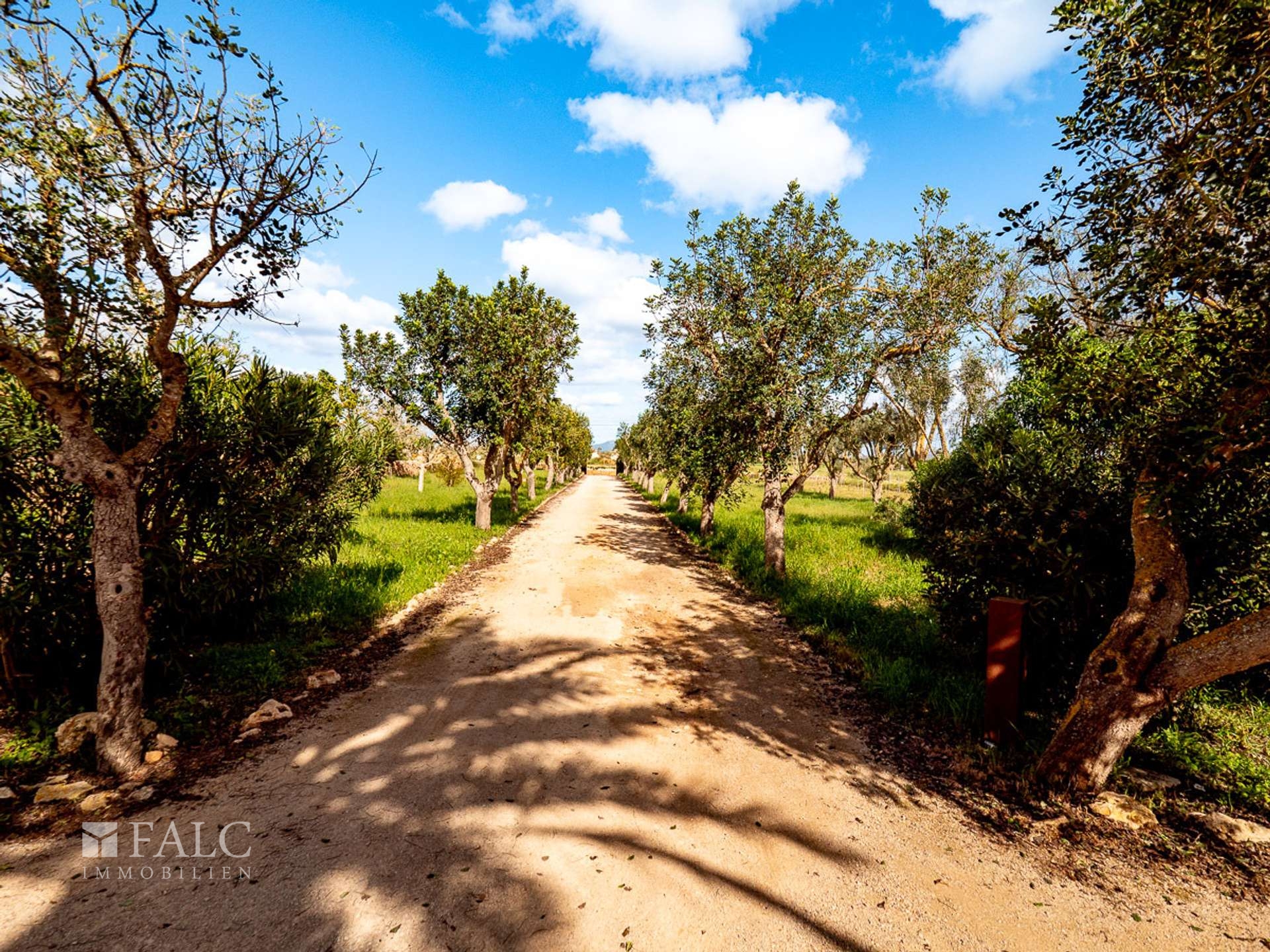 Driveway