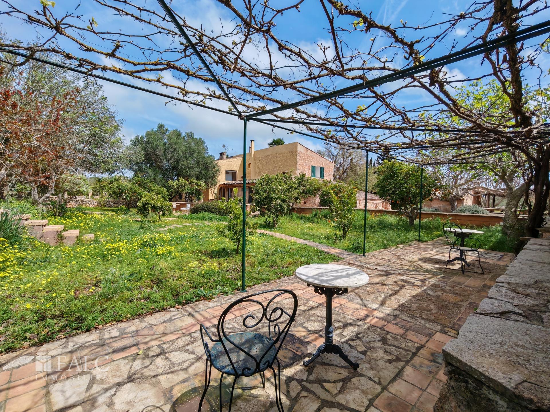 Terrasse