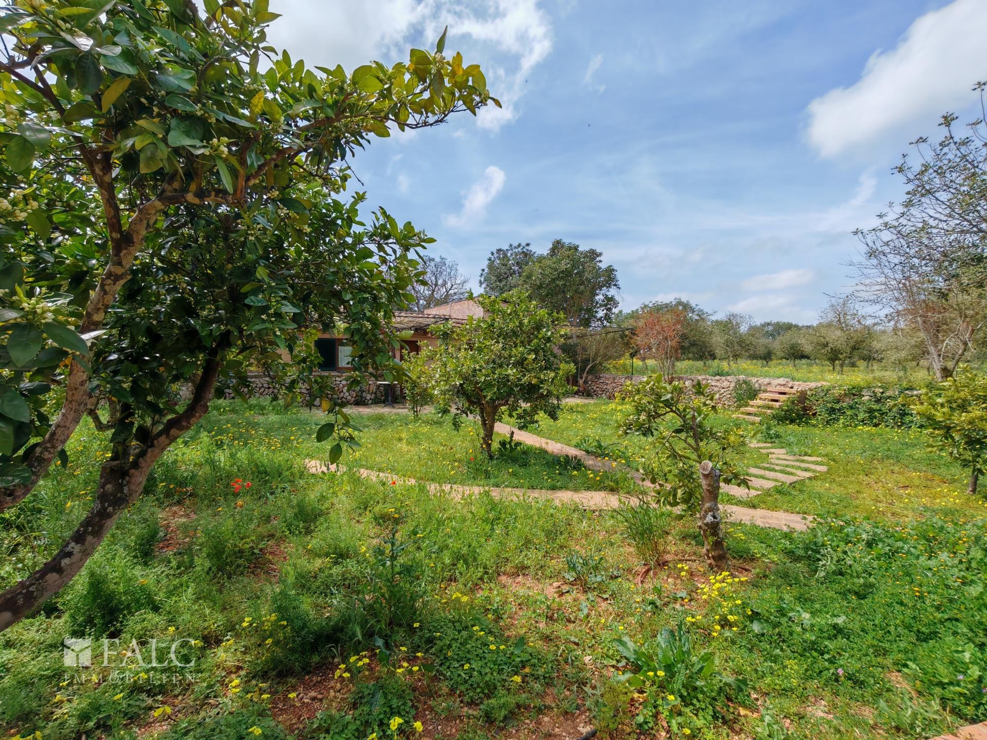 Garten