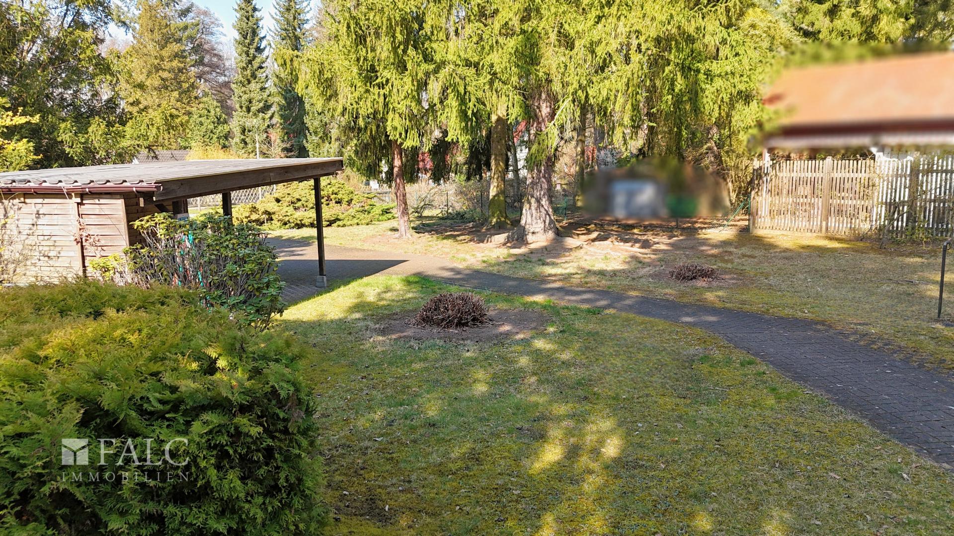 Blick in den Garten
