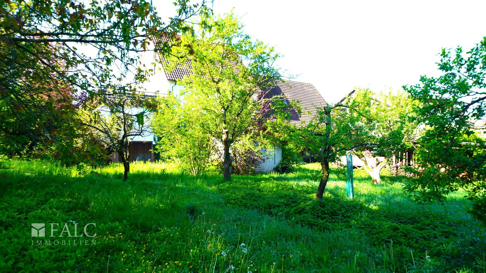 (Bau-)Grundstück Haus hinten