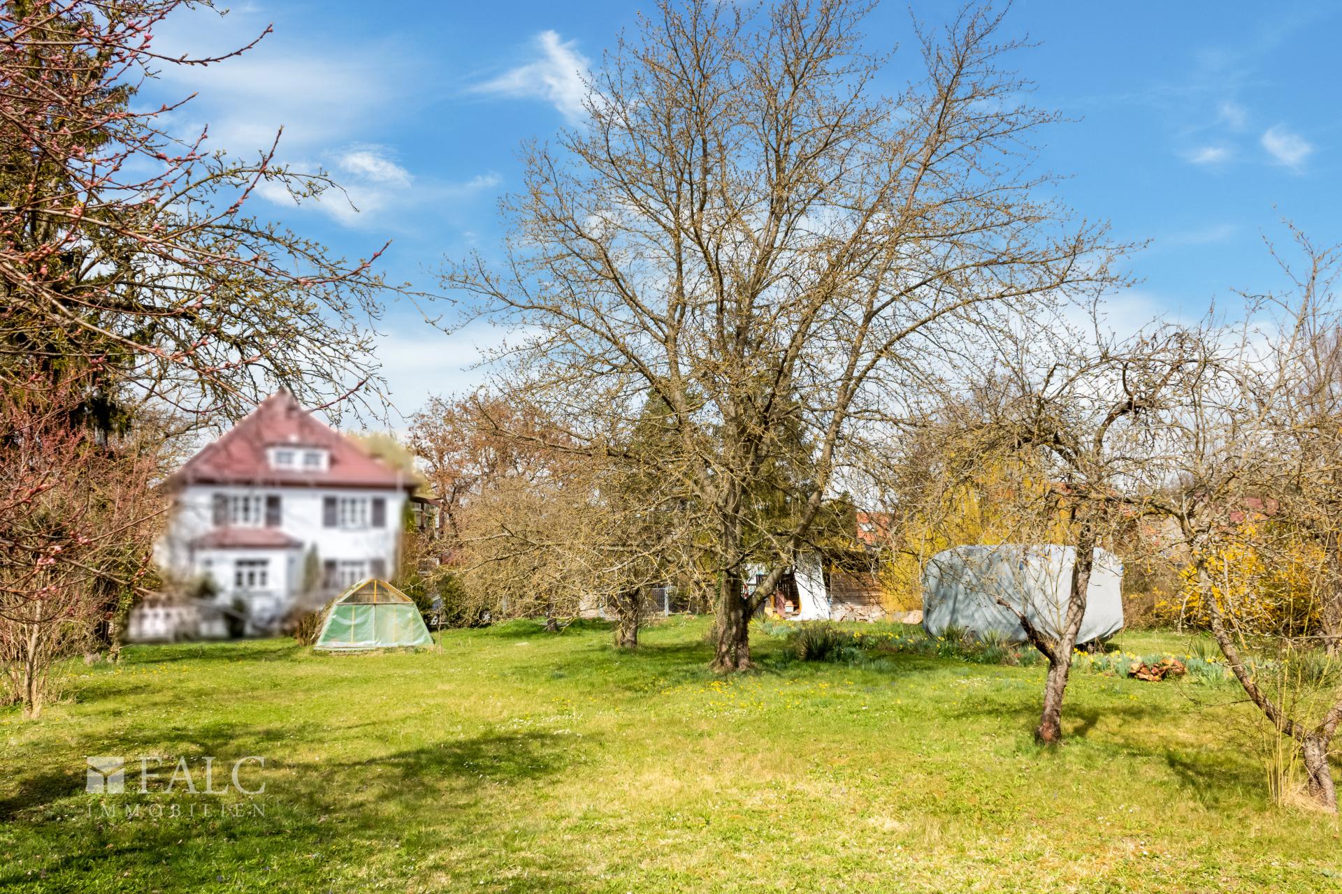 Blick zur Straße
