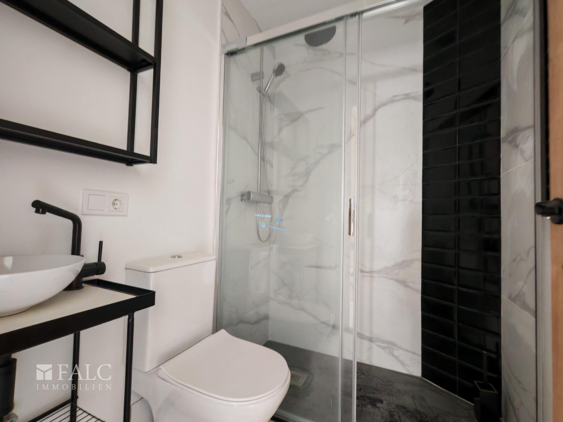 Bathroom Attic Apartment