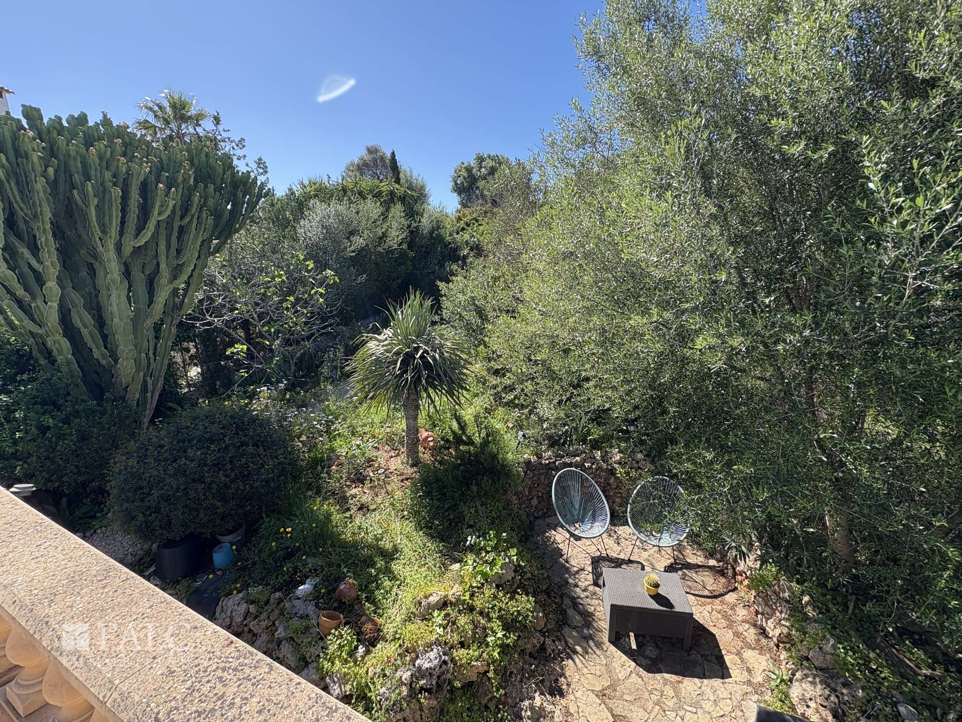 Blick in den Garten