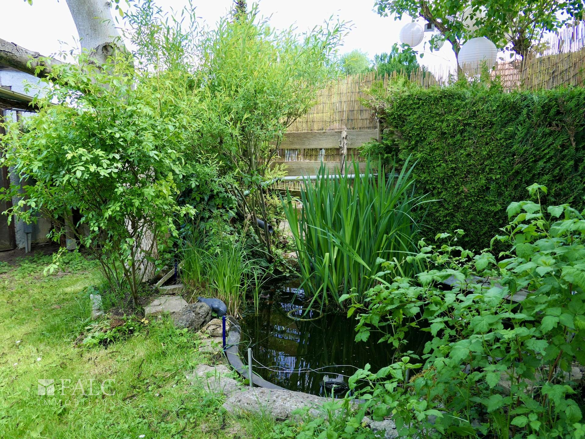 Garten-Teich