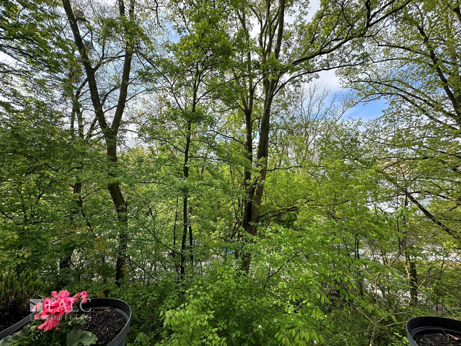 Aussicht Balkon