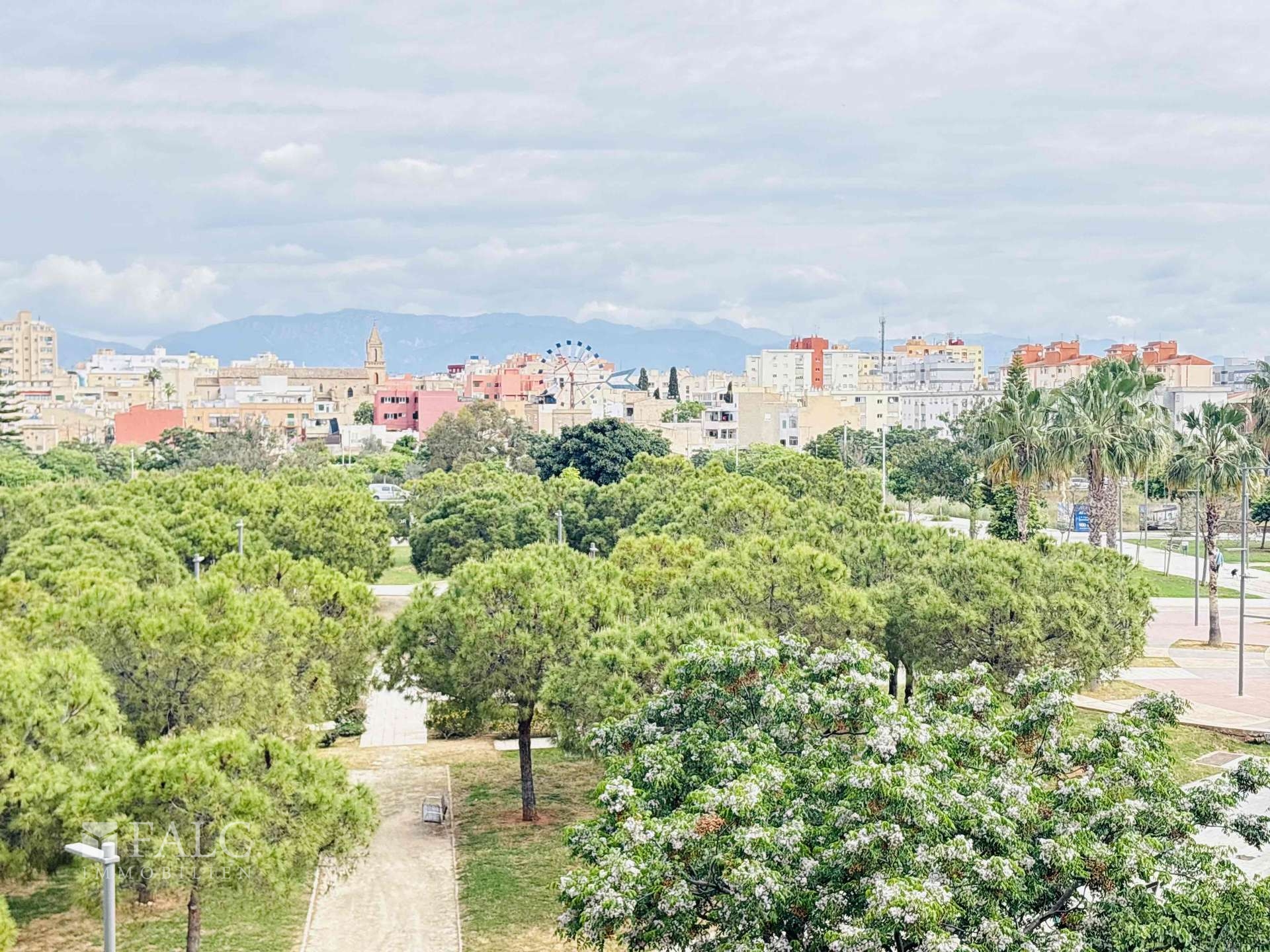View