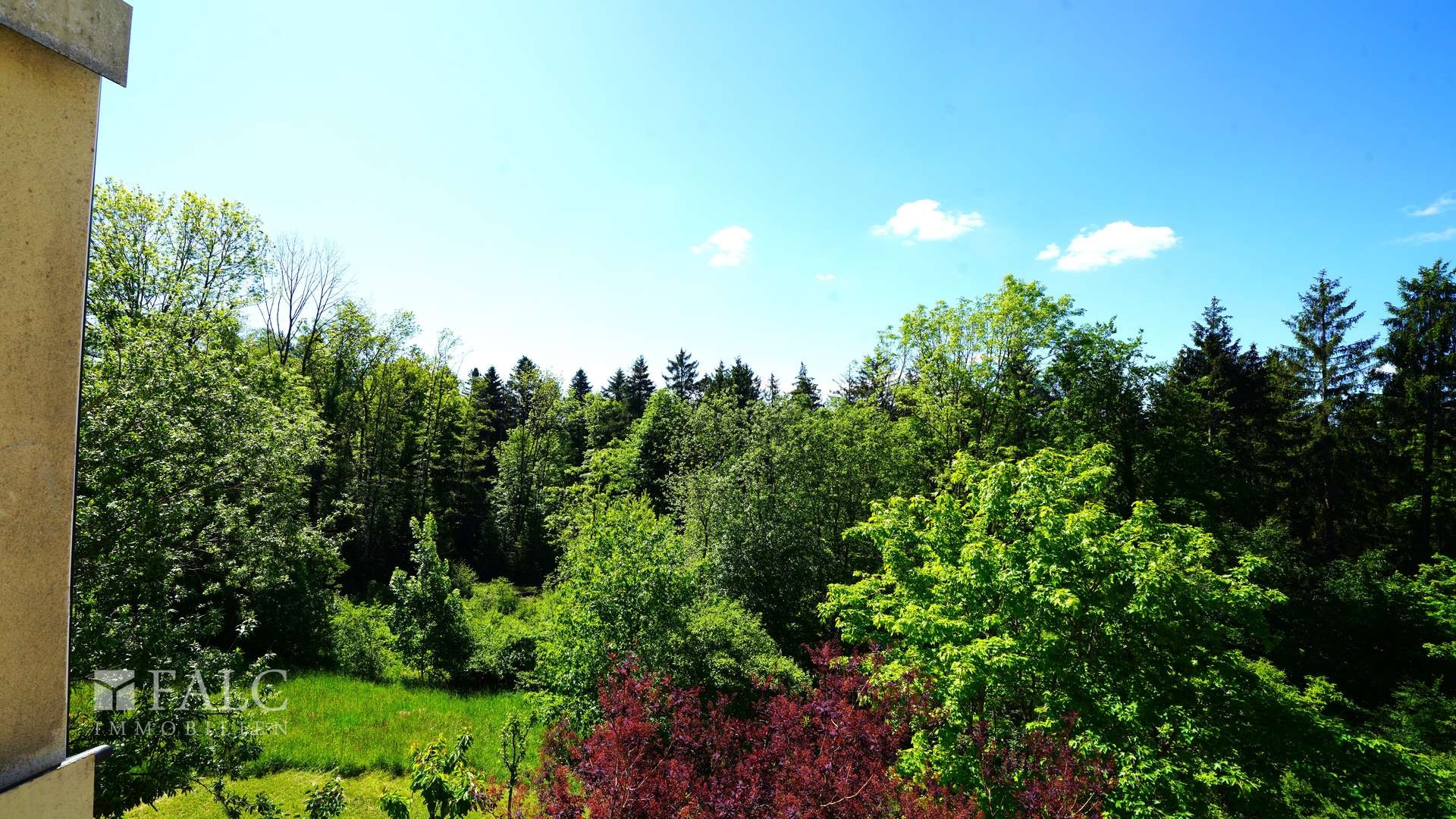 Toller Ausblick